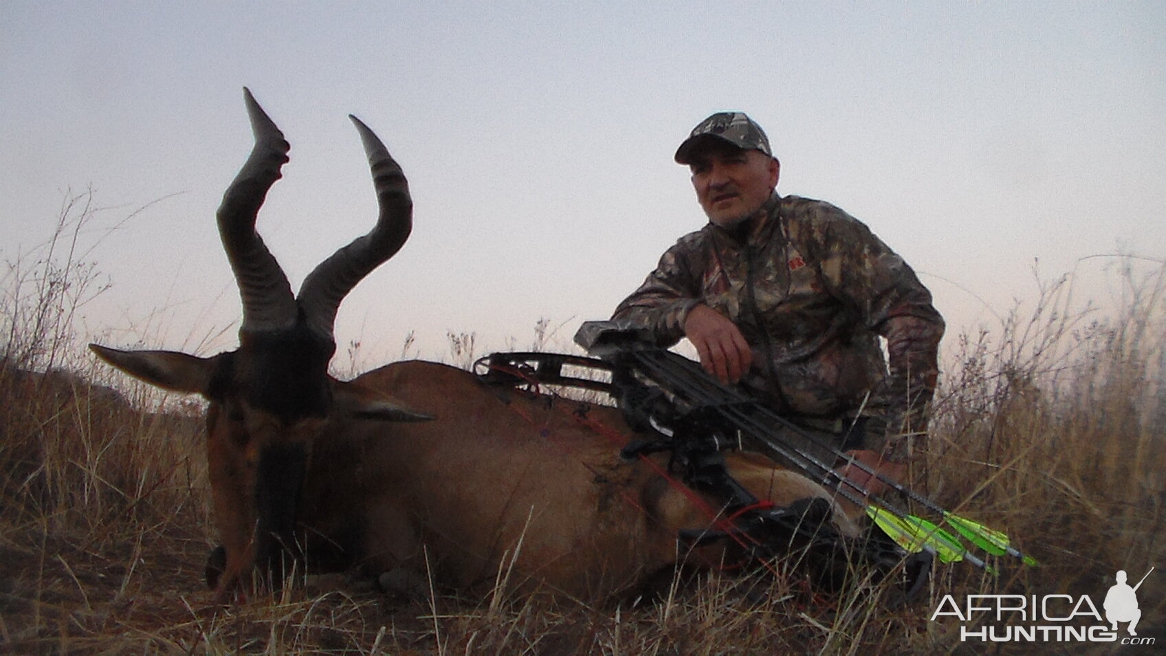 Red Hartebeest Bow Hunt South Africa