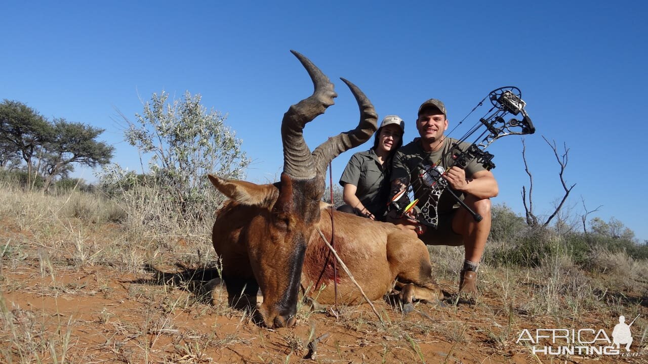 Red Hartebeest Bow Hunt South Africa