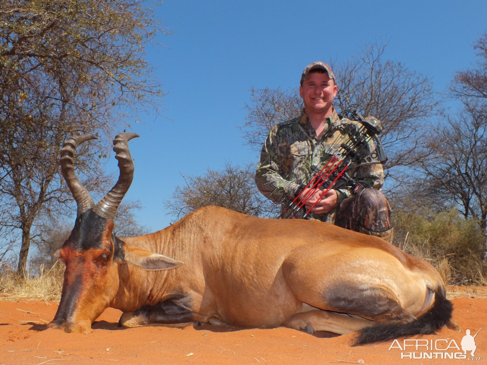Red Hartebeest Bow Hunting South Africa