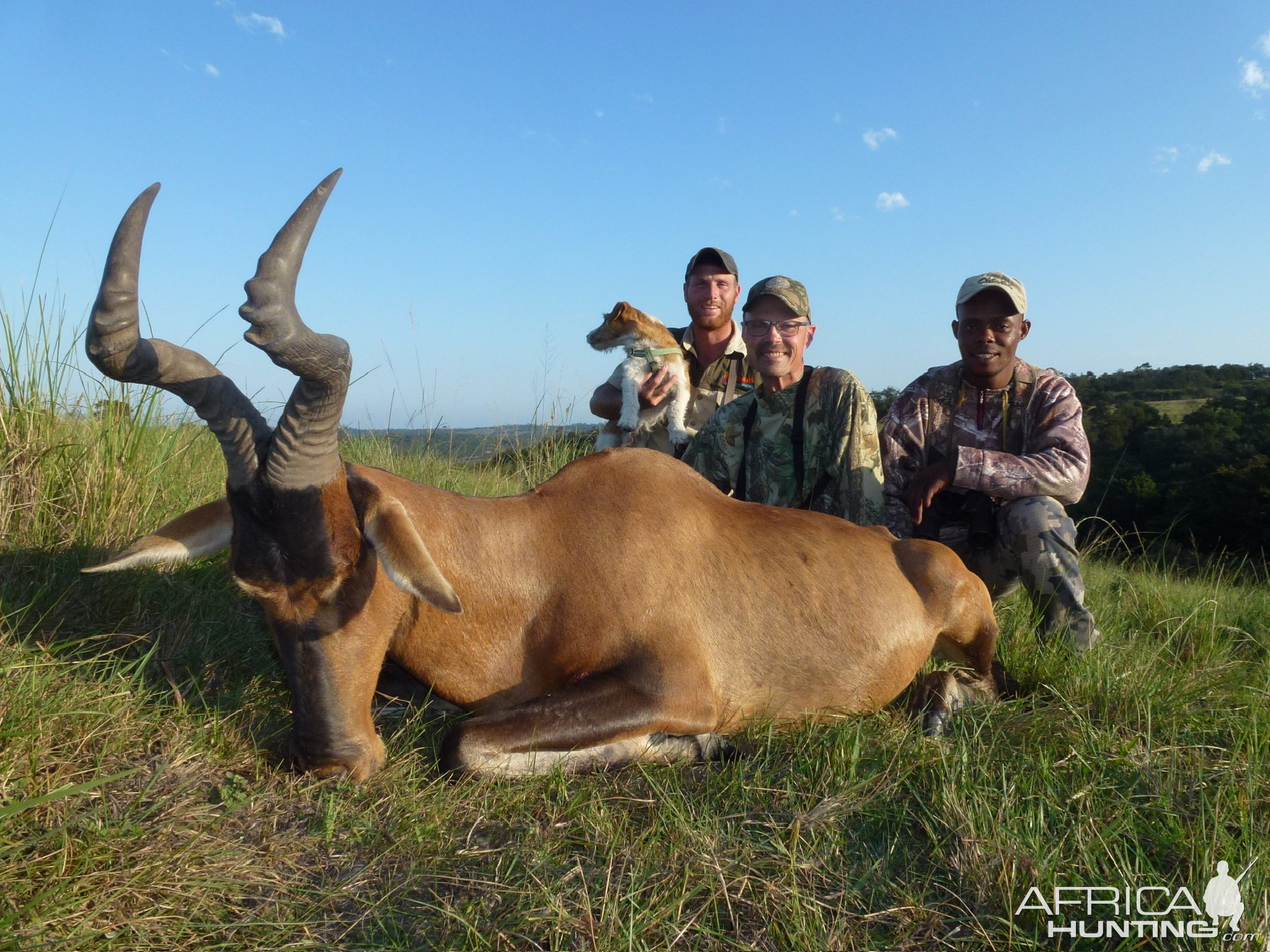 Red Hartebeest Hunt Eastern Cape South Africa