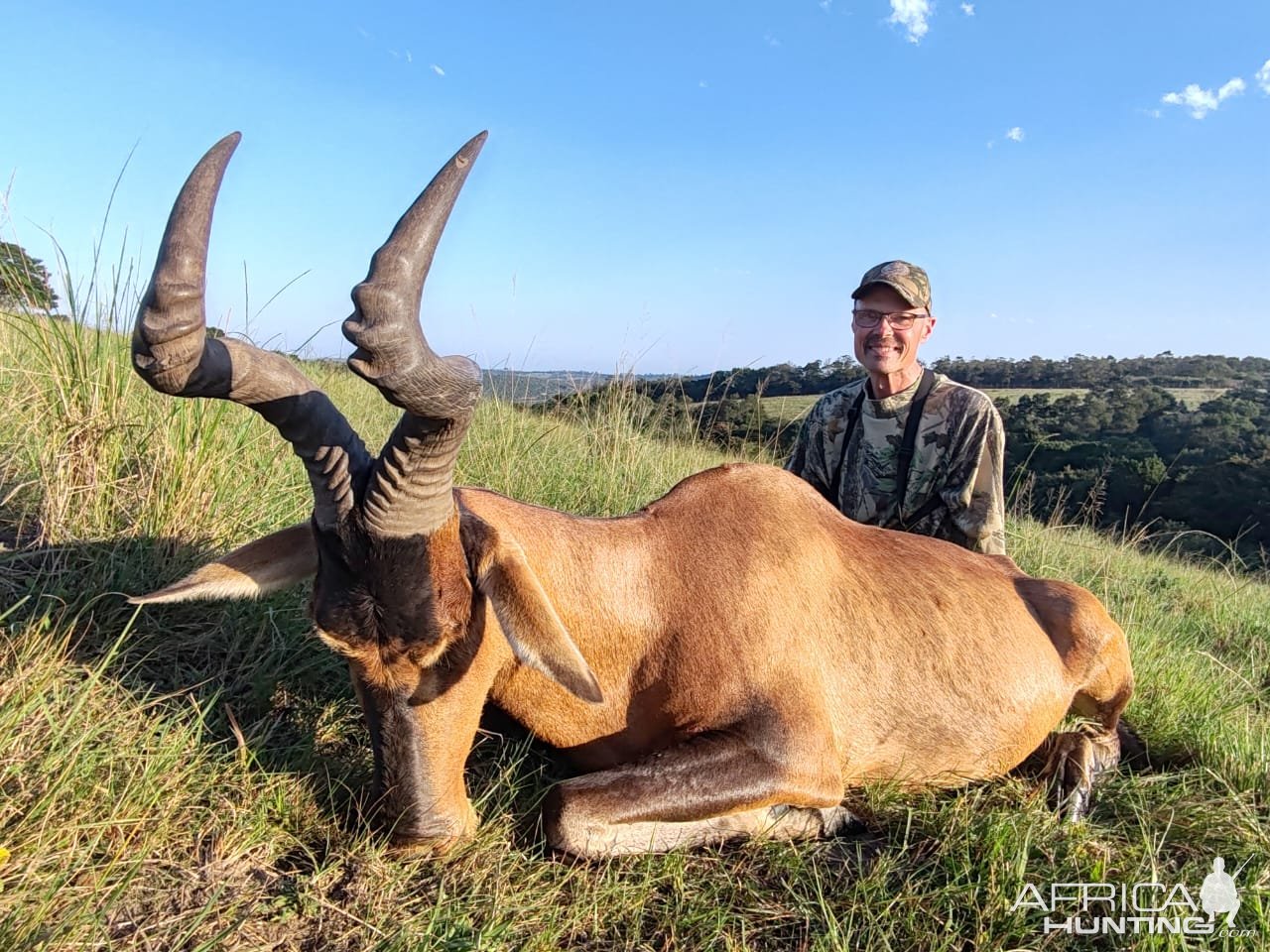 Red Hartebeest Hunt Eastern Cape South Africa