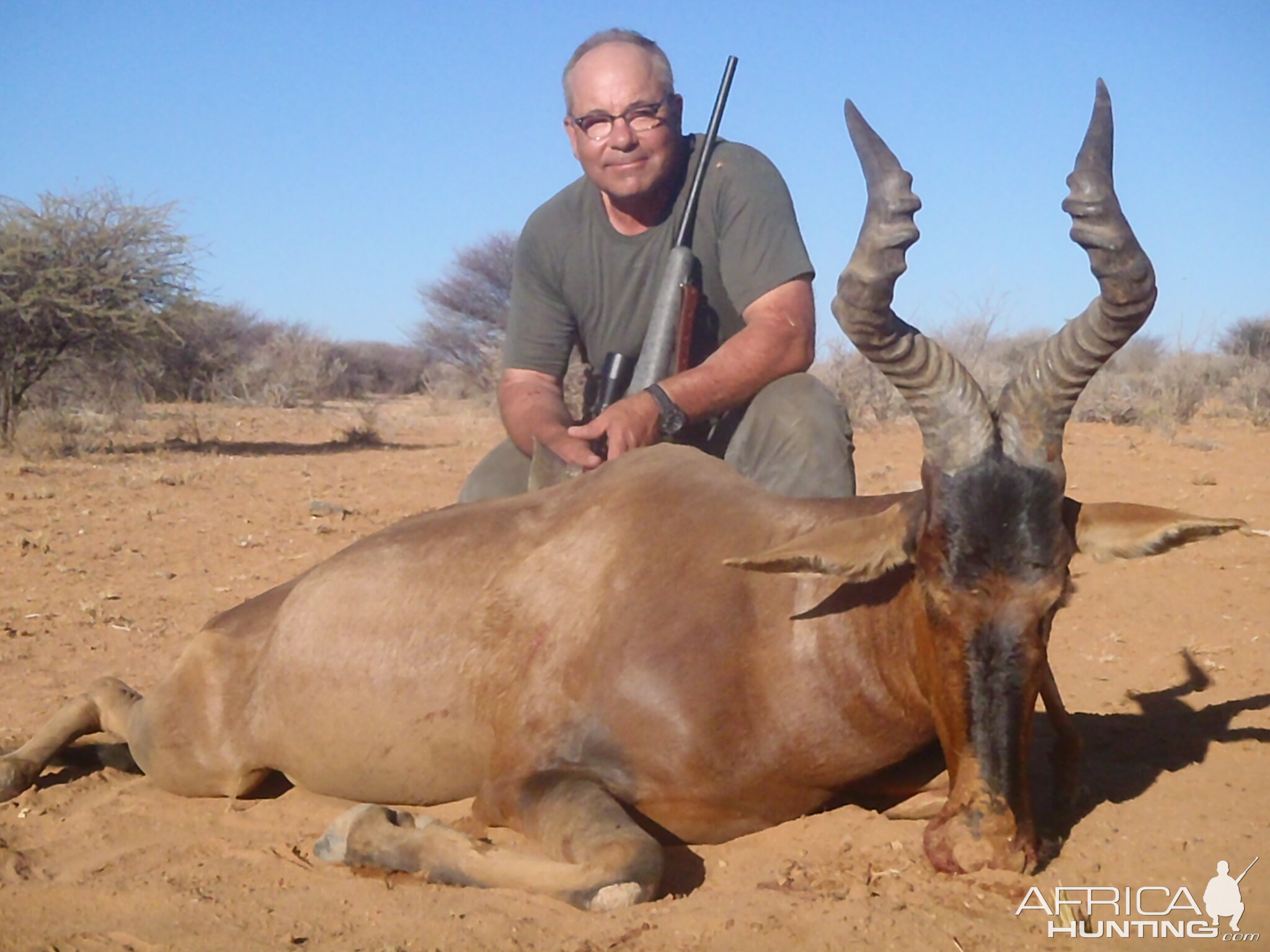 Red Hartebeest Hunt in Namibia