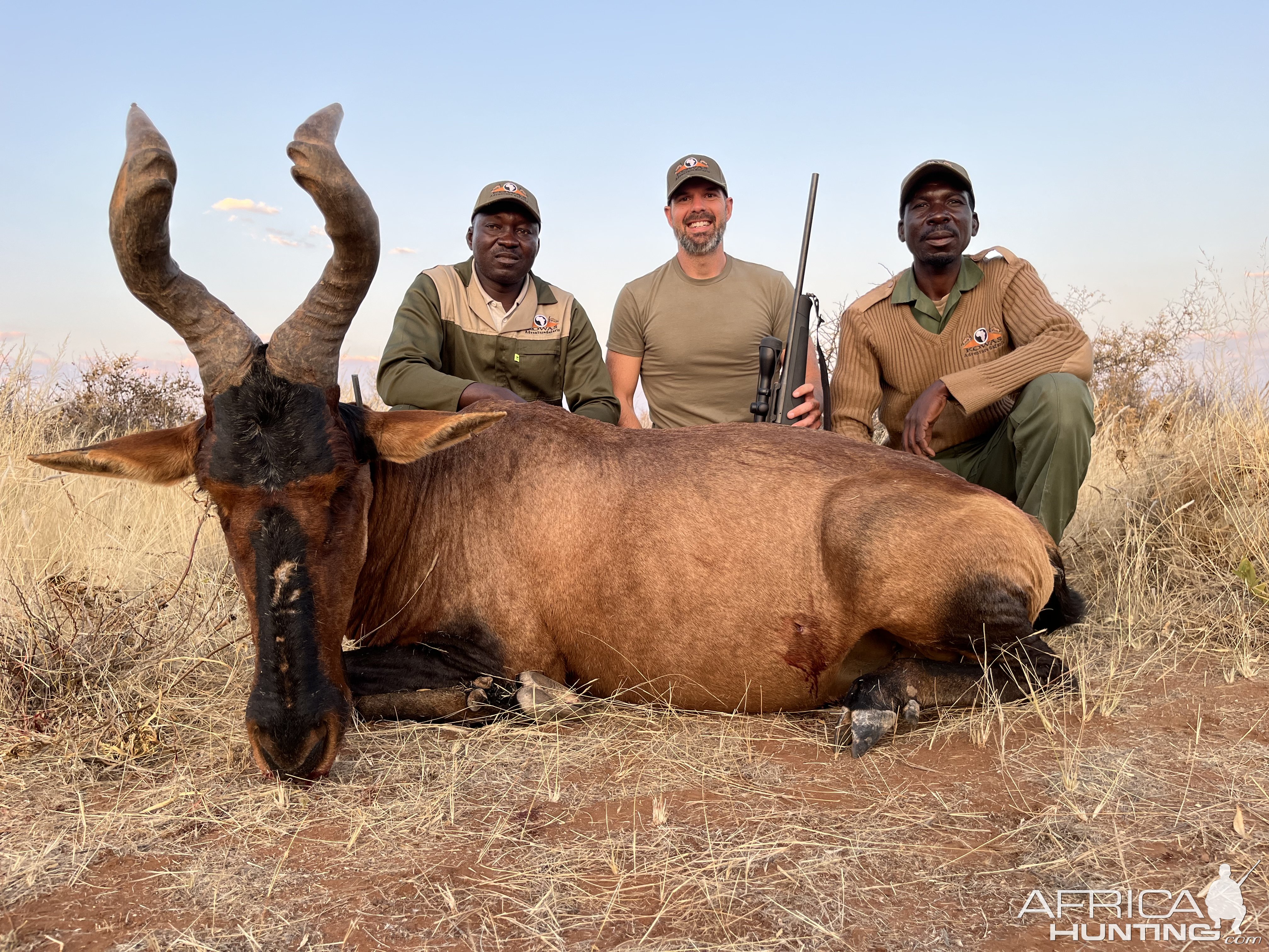 Red Hartebeest Hunt Namibia