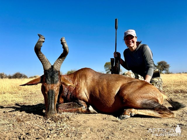 Red Hartebeest Hunt Namibia