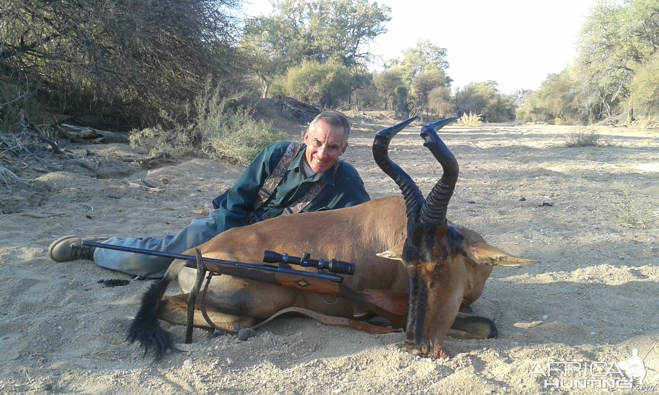 Red Hartebeest Hunt Namibia