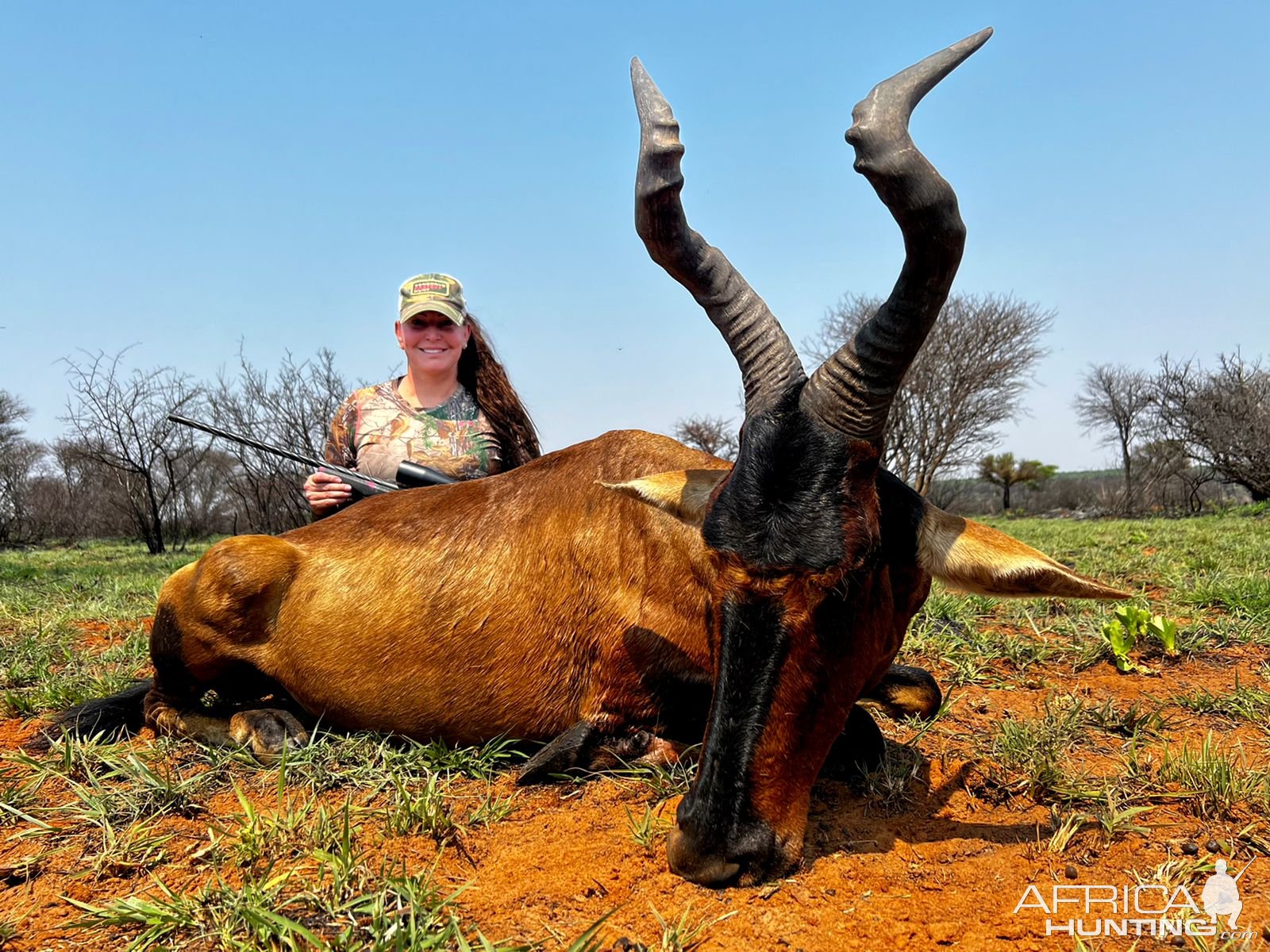 Red Hartebeest Hunt South Africa