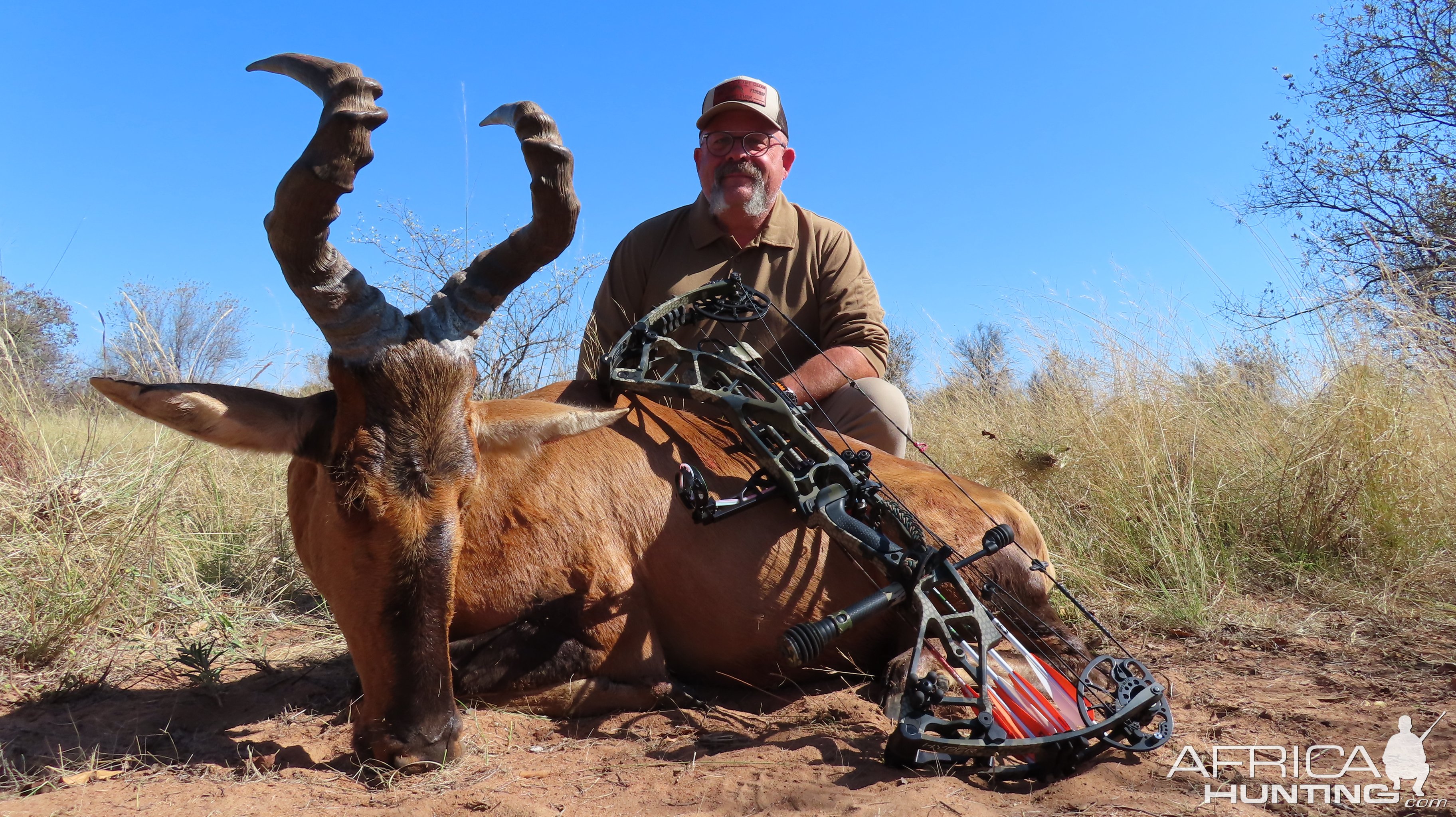 Red Hartebeest Hunt South Africa