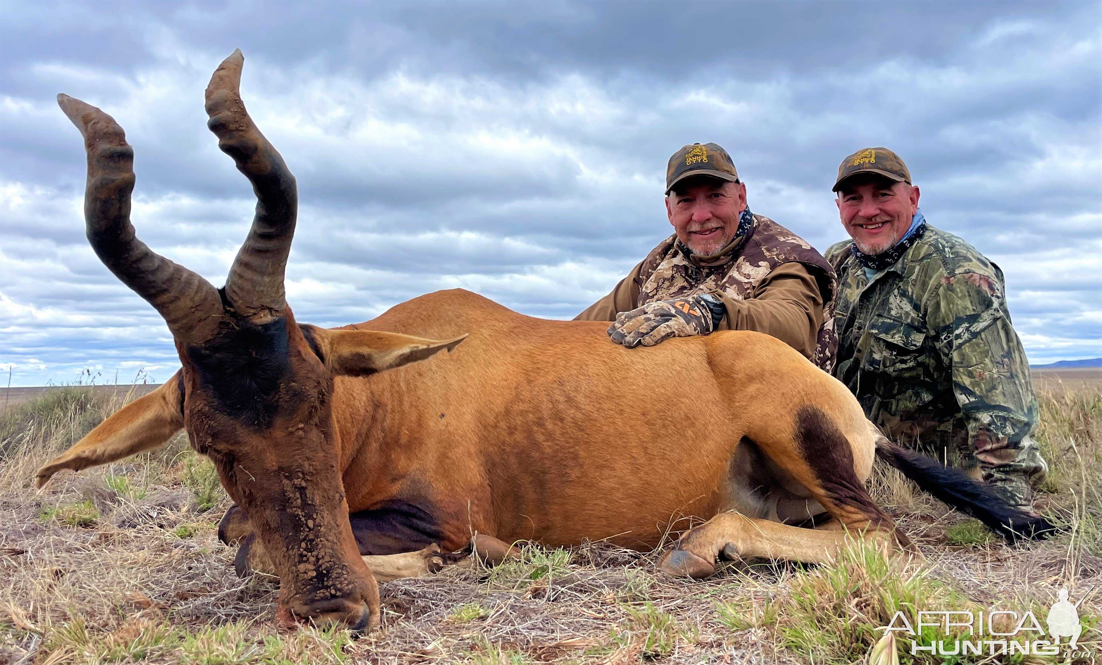 Red Hartebeest Hunt South Africa