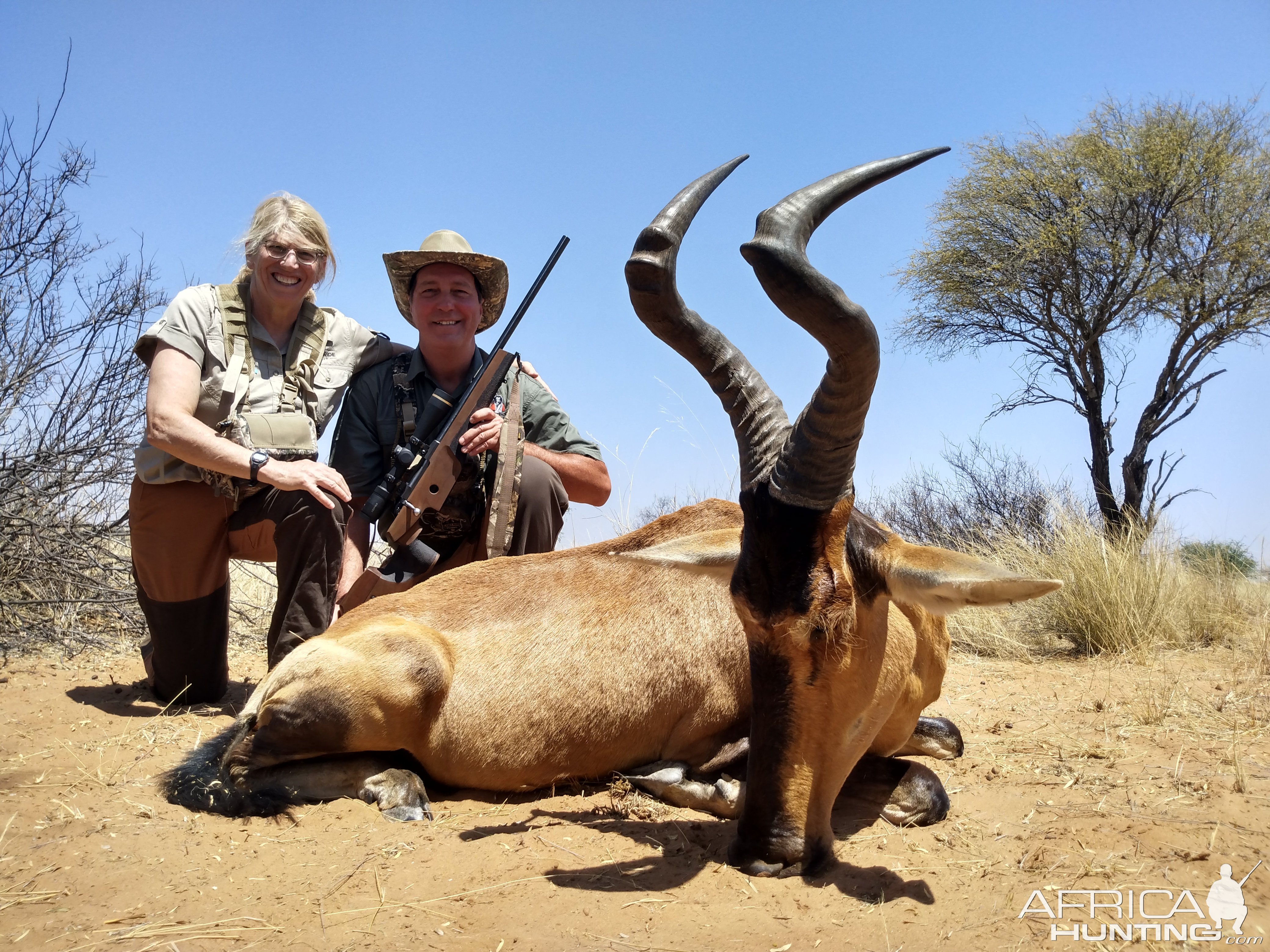 Red Hartebeest Hunt South Africa