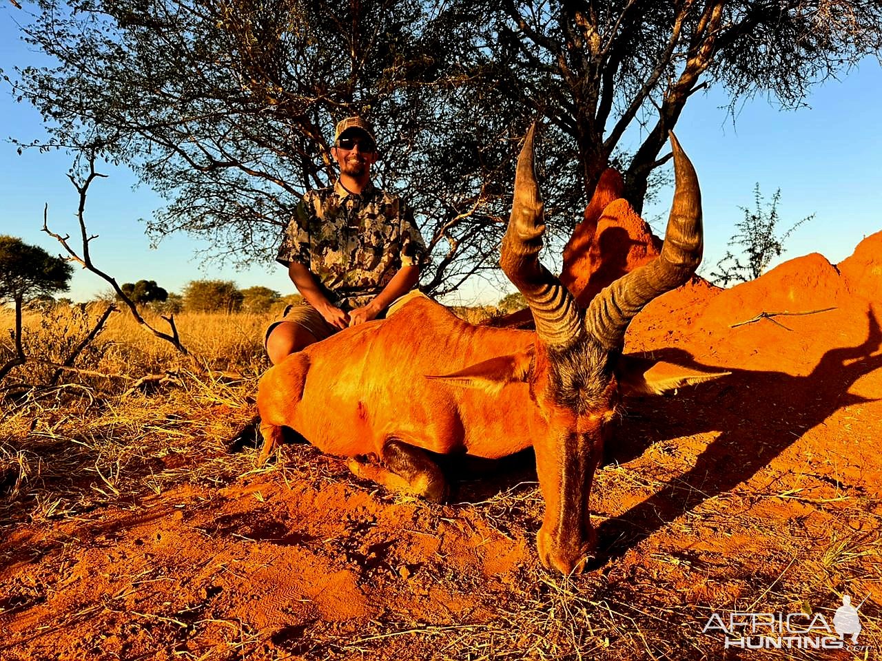 Red Hartebeest Hunt South Africa