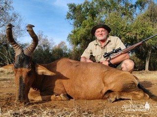 Red Hartebeest Hunt South Africa