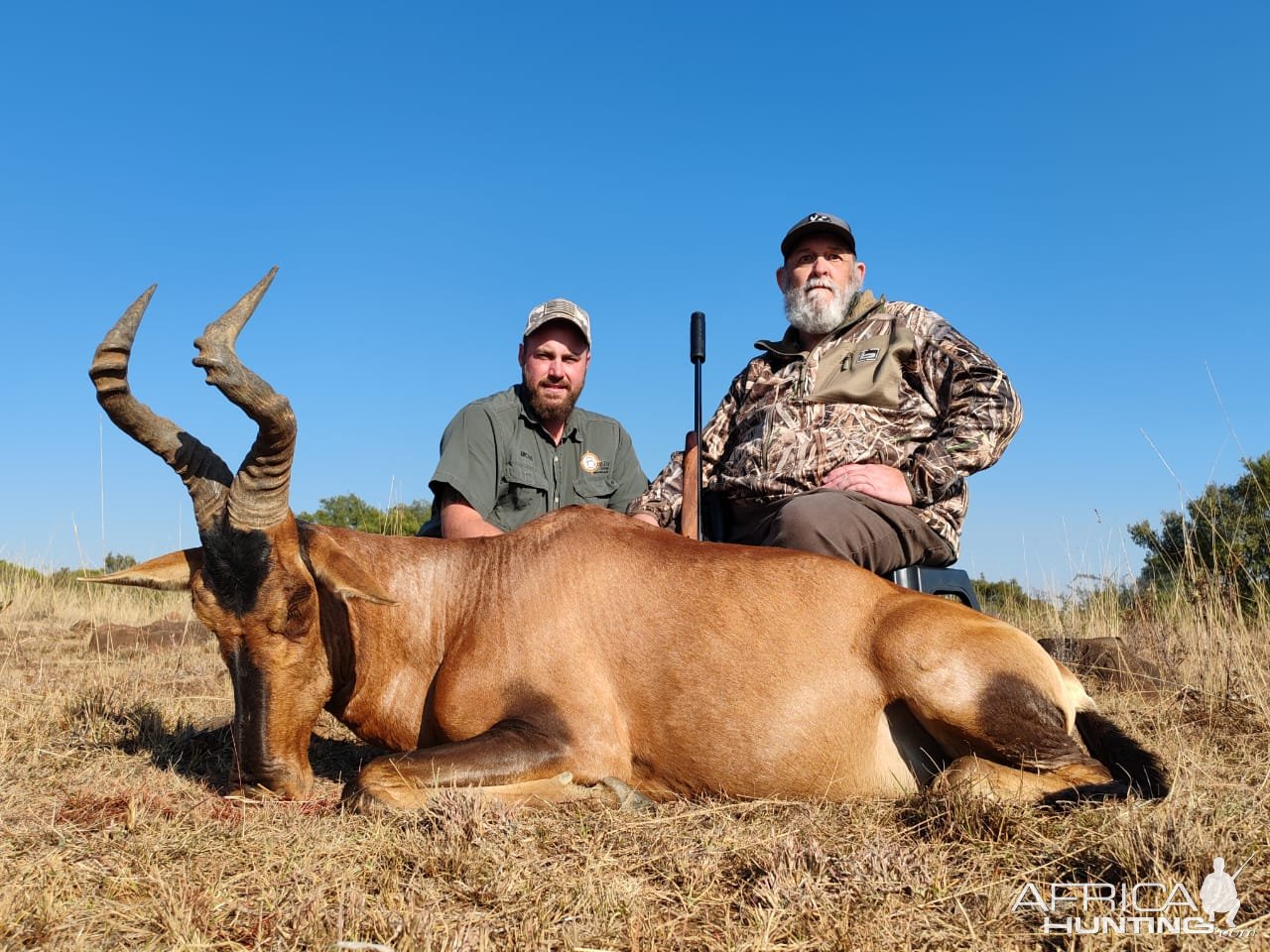 Red Hartebeest Hunt South Africa