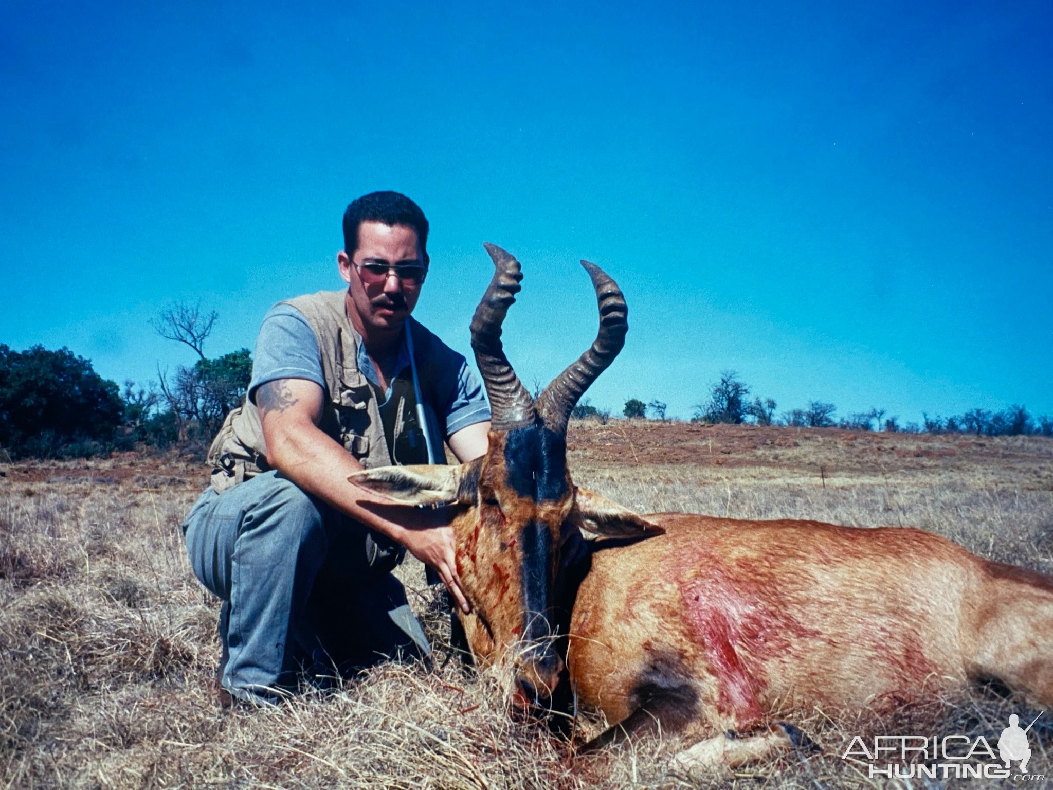 Red Hartebeest Hunt South Africa