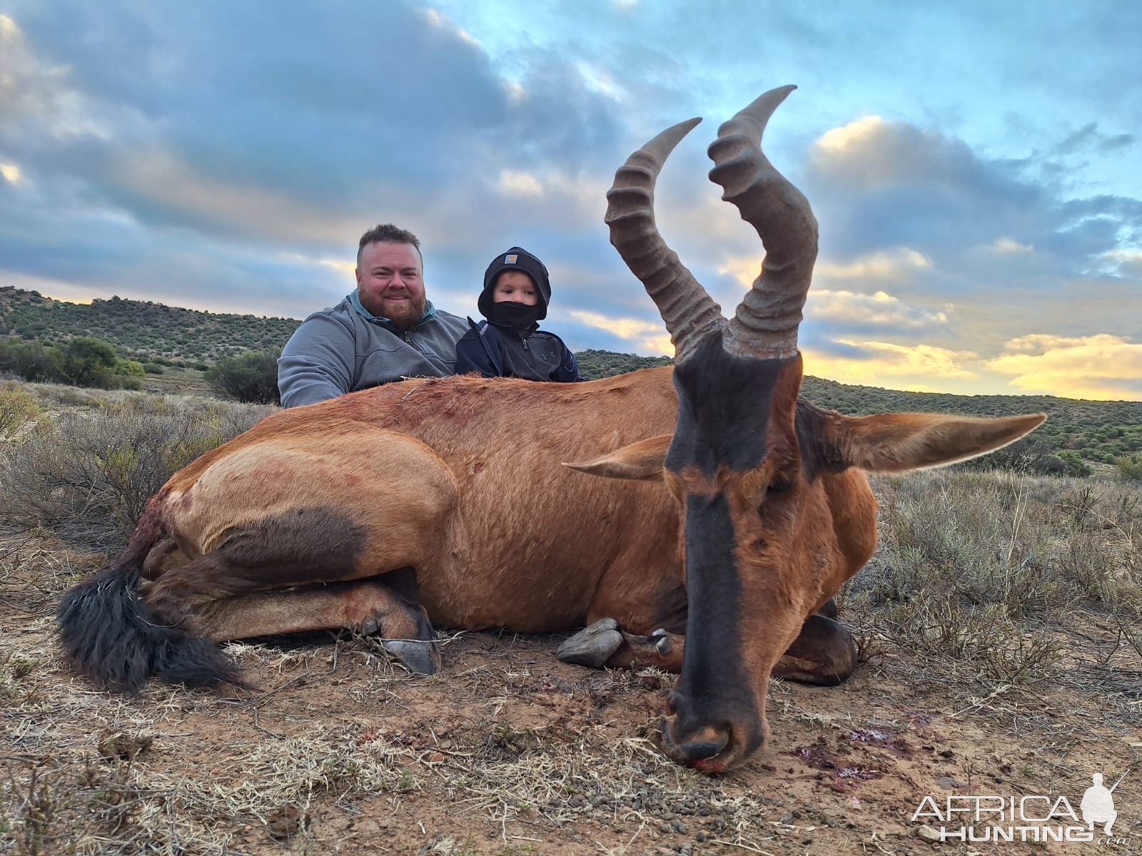 Red Hartebeest Hunt South Africa