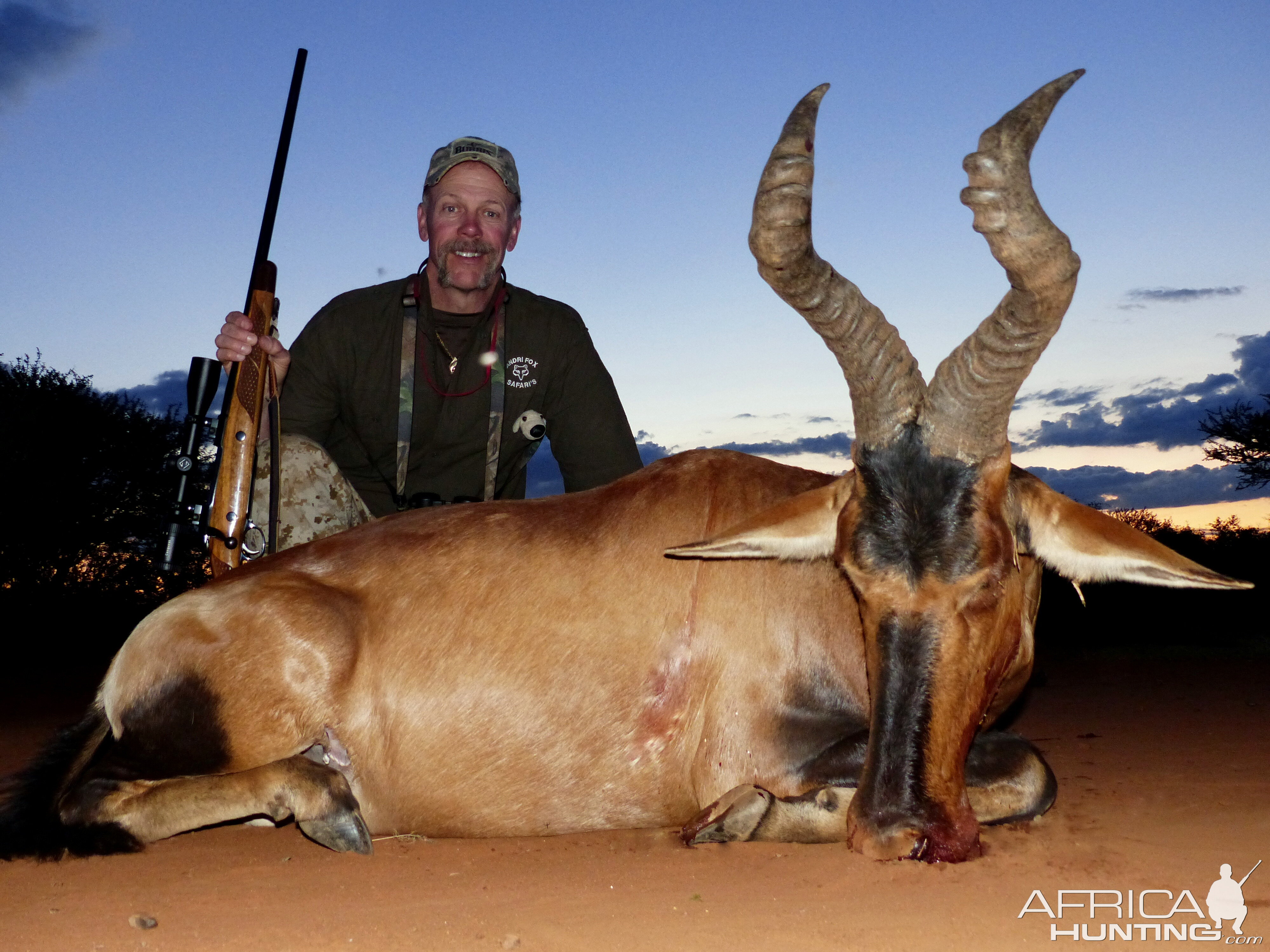 Red Hartebeest Hunt South Africa