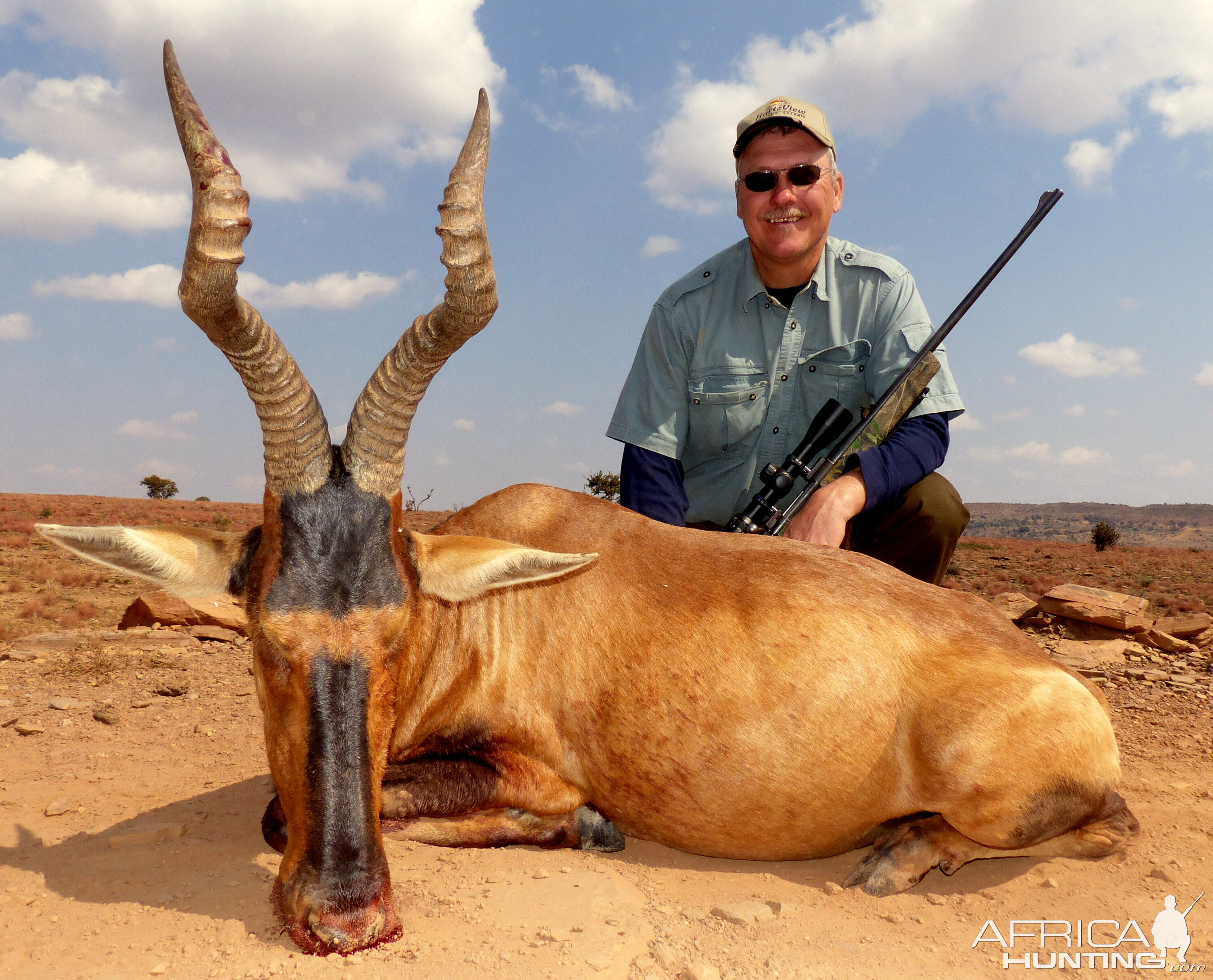 Red Hartebeest Hunt South Africa