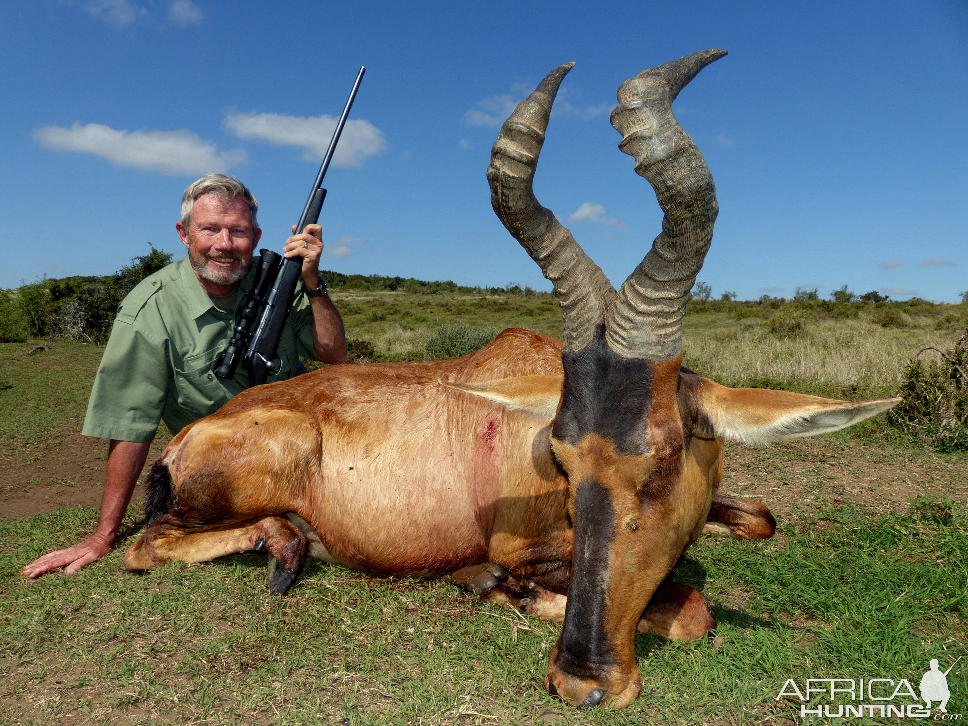 Red Hartebeest Hunt South Africa