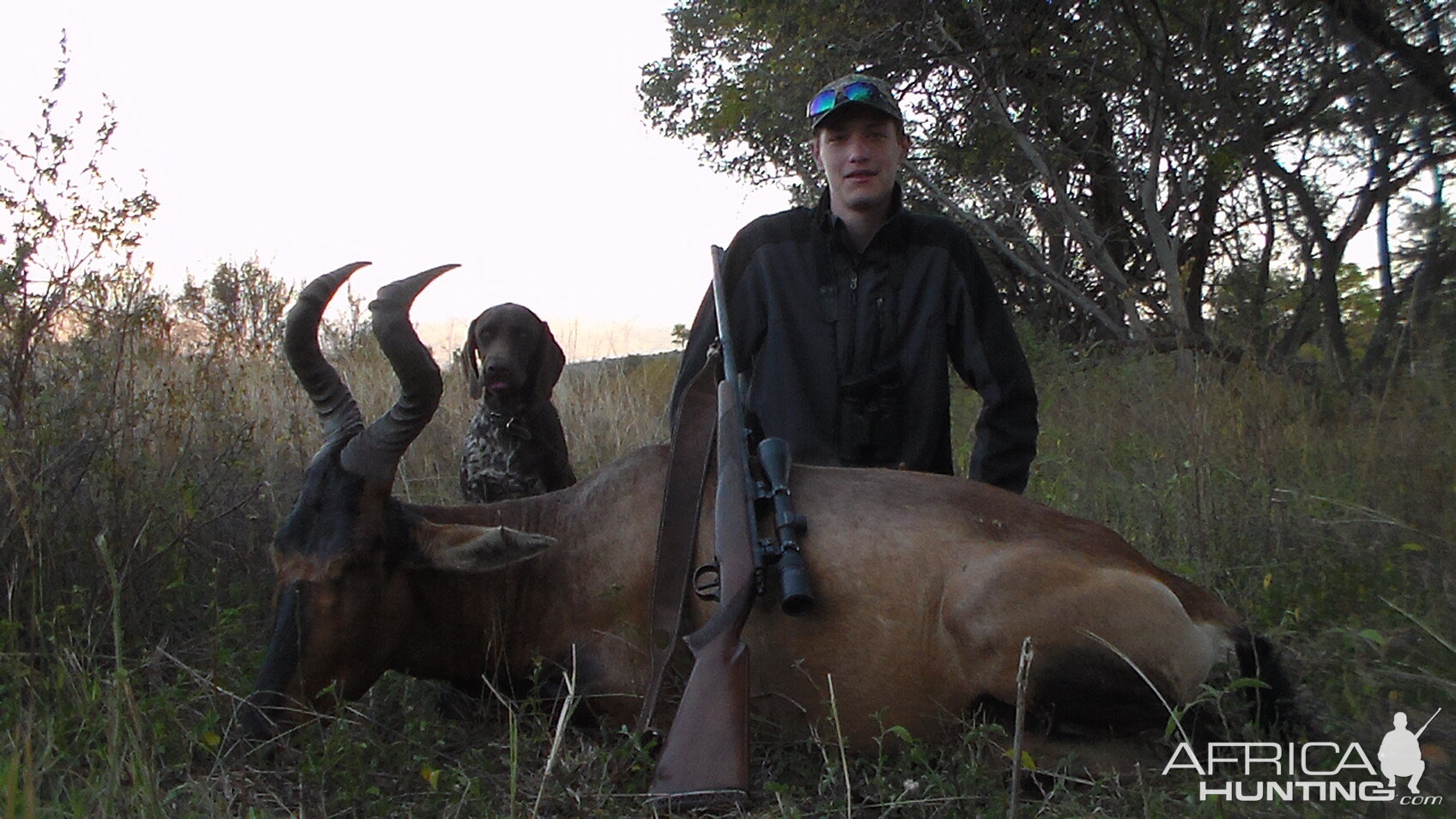 Red Hartebeest Hunt South Africa