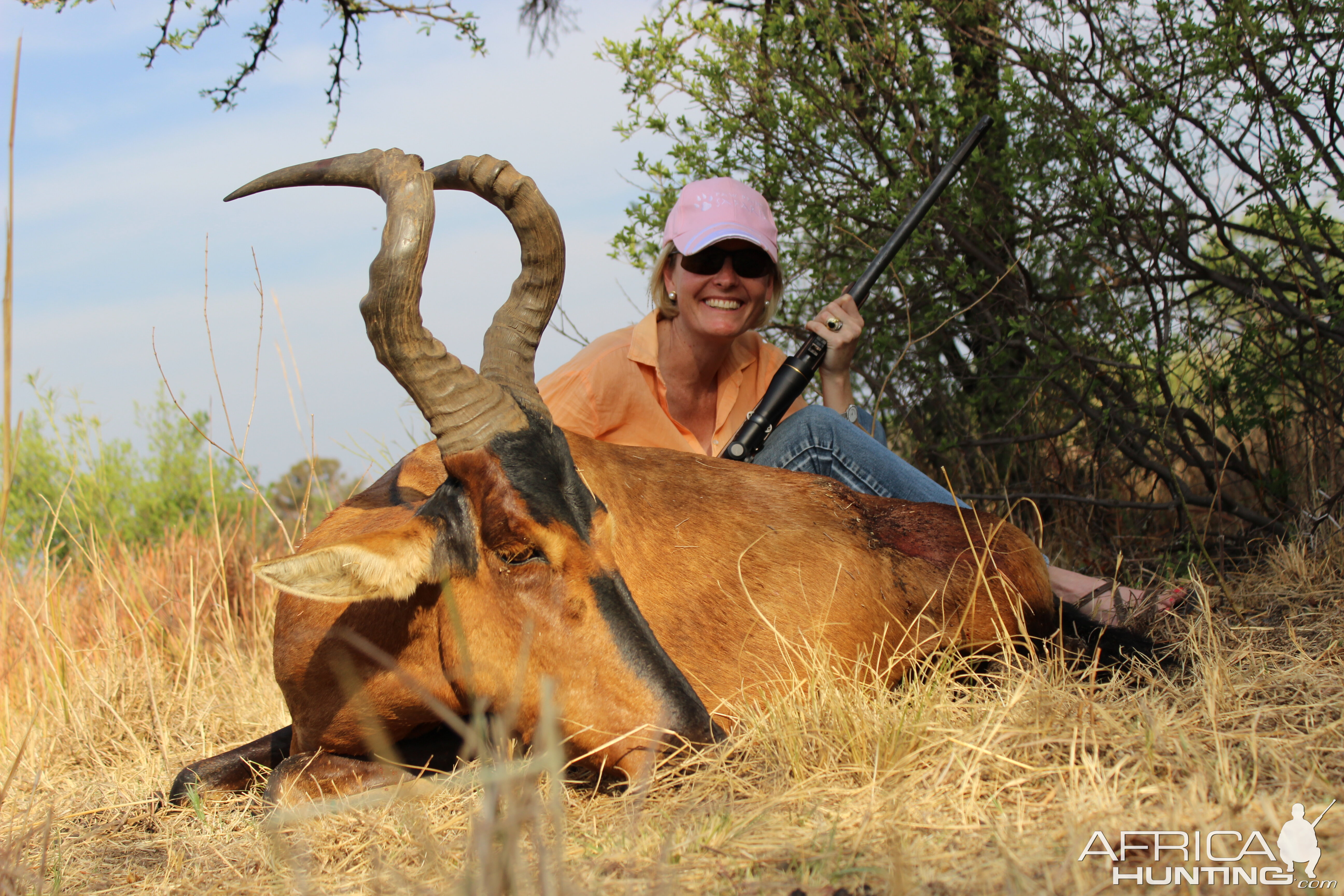 Red Hartebeest Hunt South Africa