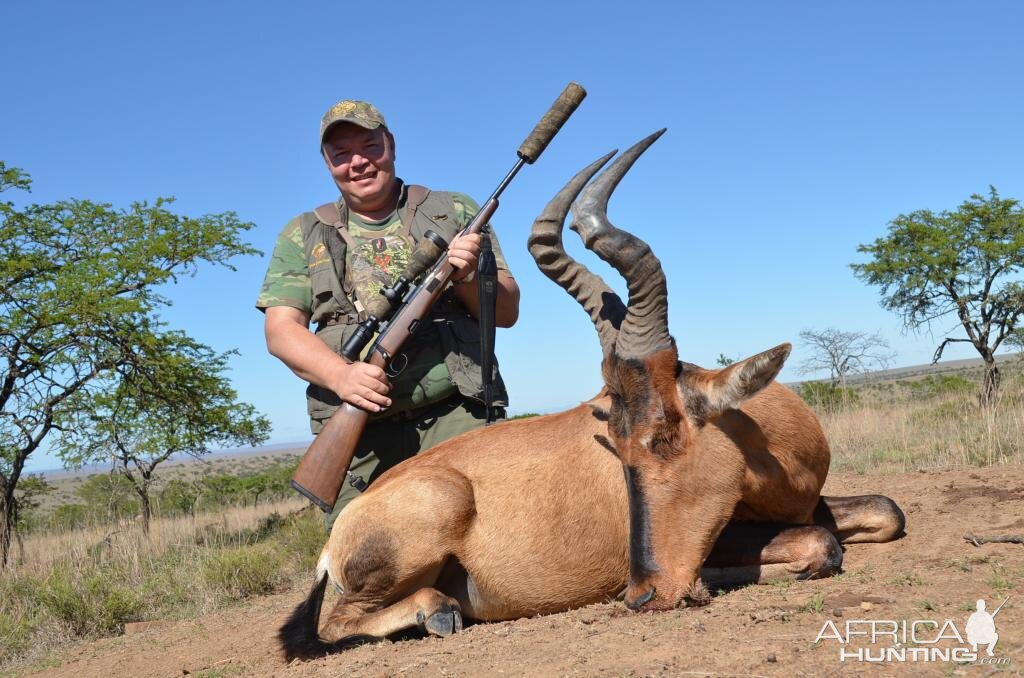 Red Hartebeest Hunt South Africa