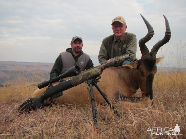 Red Hartebeest Hunt South Africa