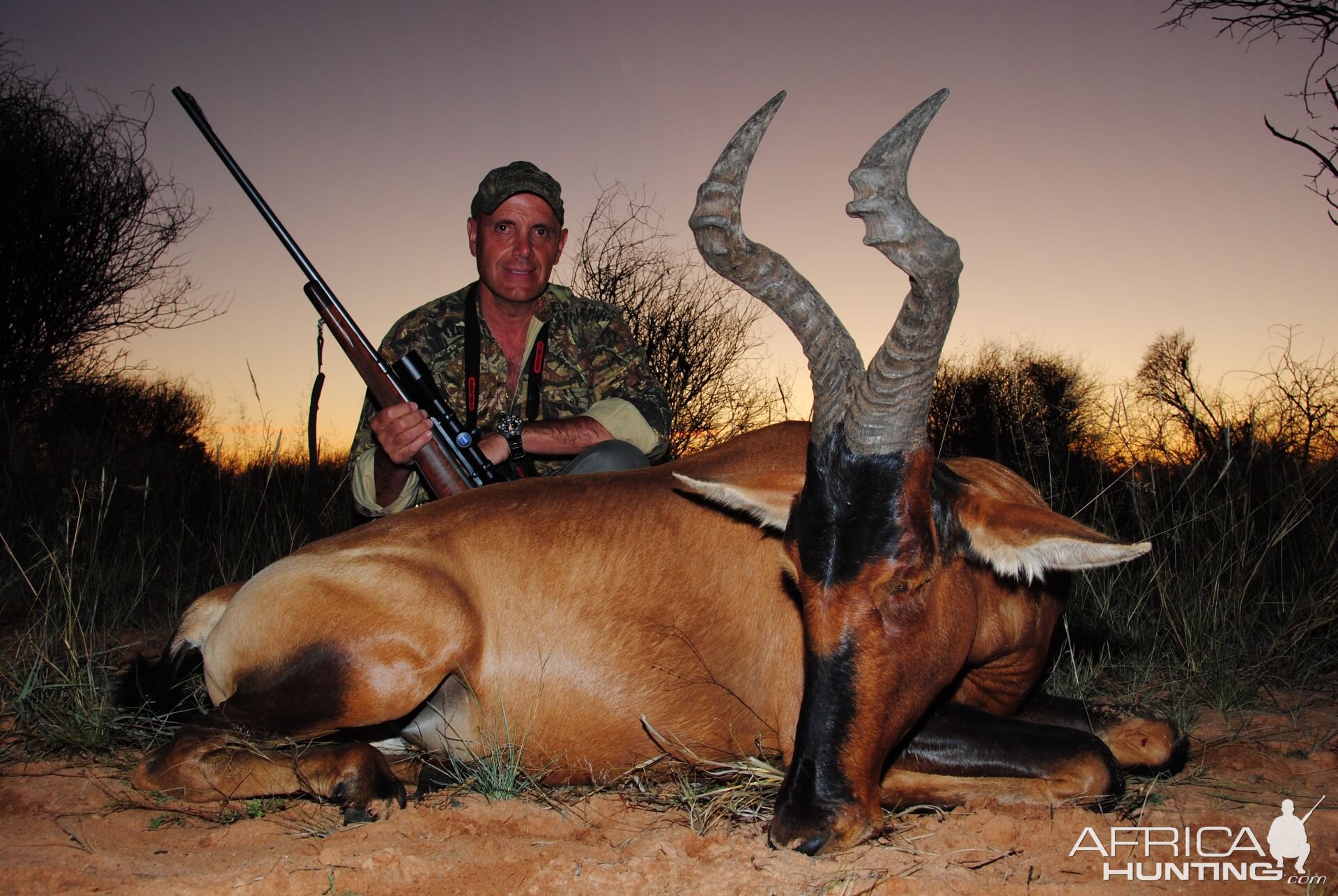 Red Hartebeest Hunt South Africa