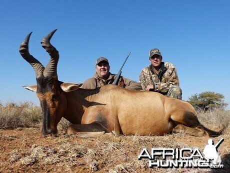 Red Hartebeest hunt with Wintershoek Johnny Vivier Safaris