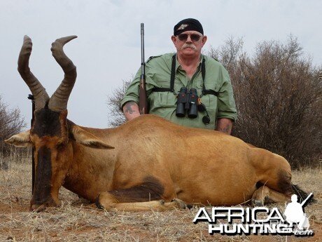 Red Hartebeest hunt with Wintershoek Johnny Vivier Safaris