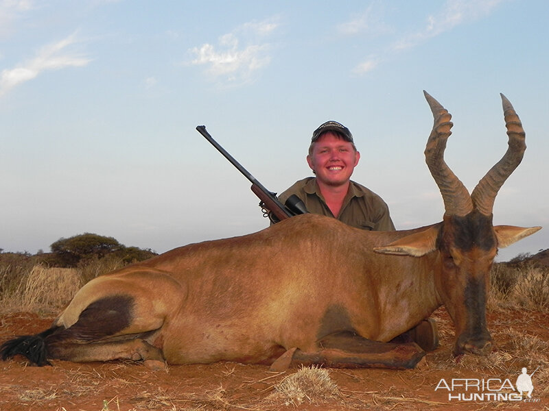 Red Hartebeest hunt with Wintershoek Johnny Vivier Safaris