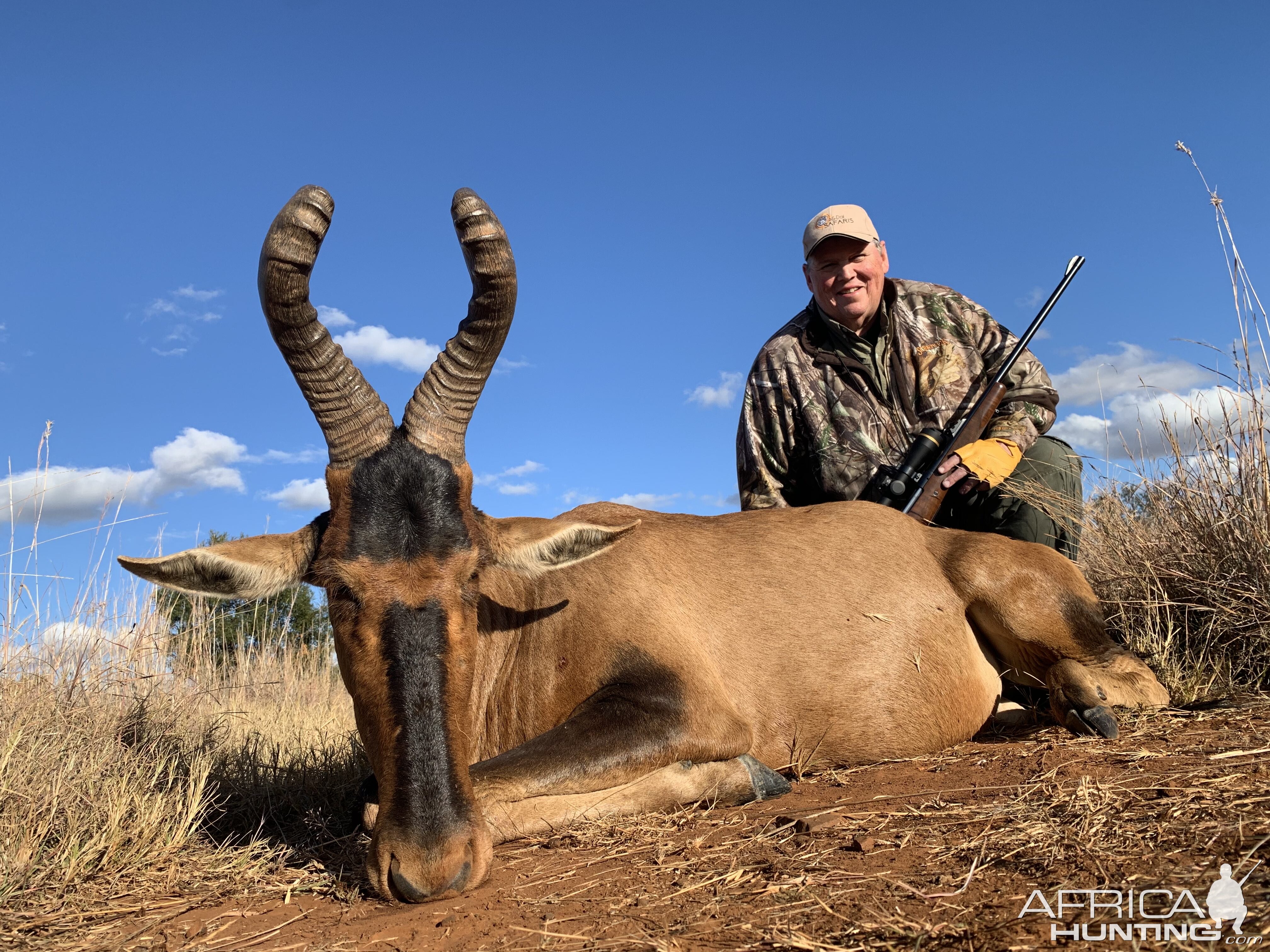 Red Hartebeest Hunt