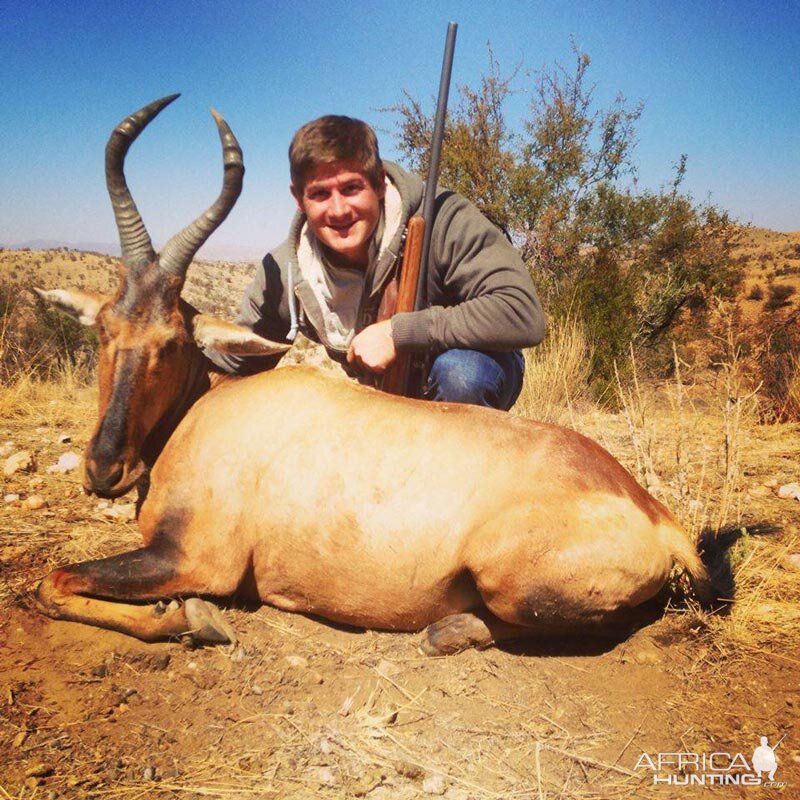 Red Hartebeest Hunt