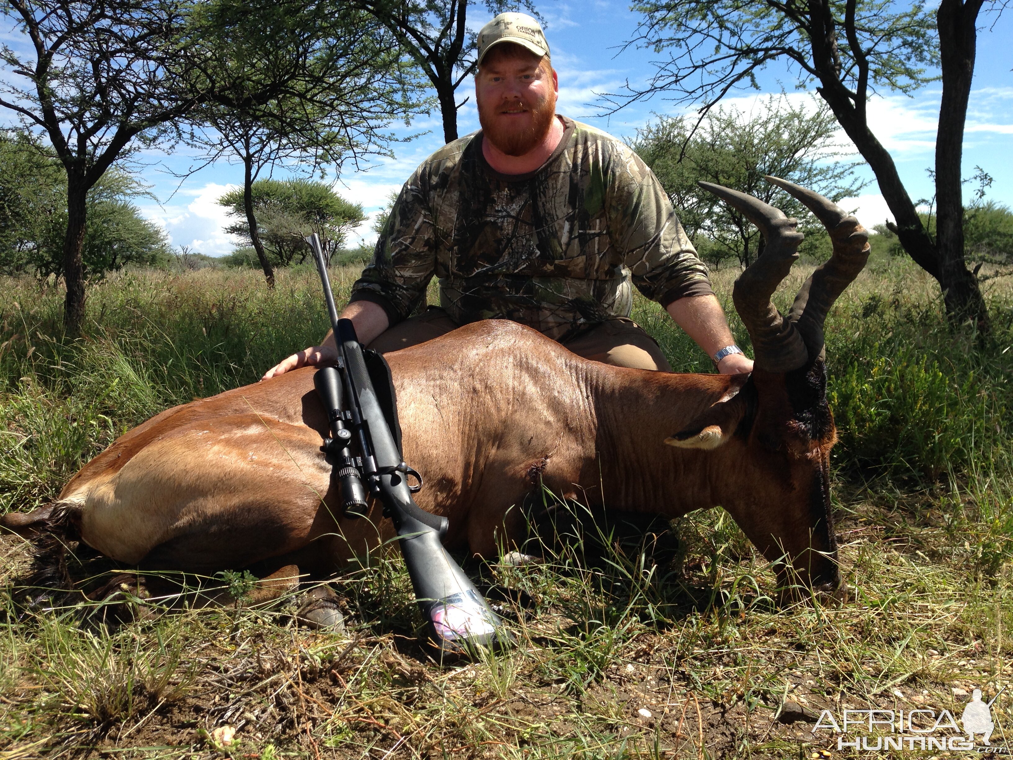 Red Hartebeest Hunt