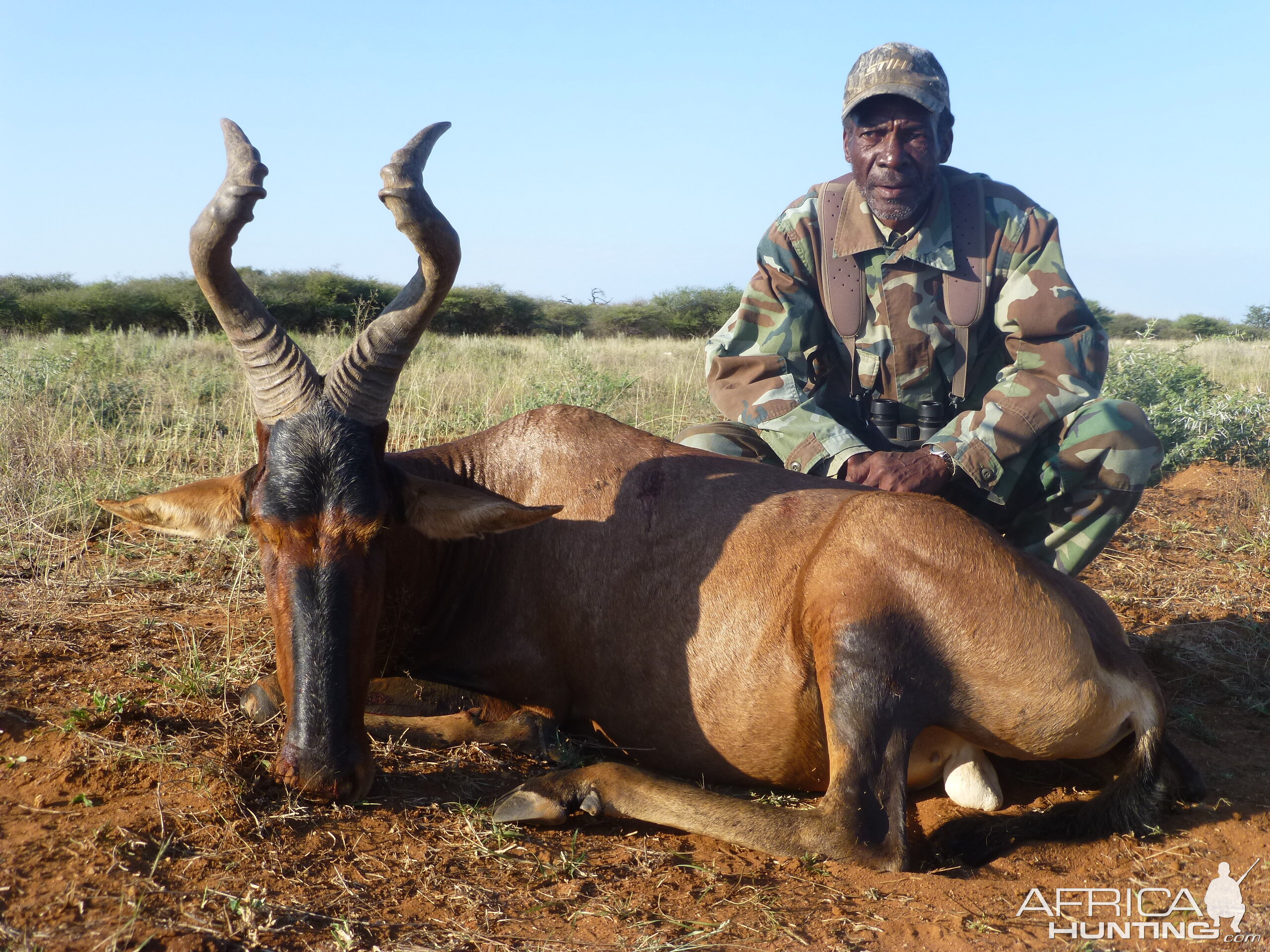 Red Hartebeest hunted with Ozondjahe Hunting Safaris in Namibia