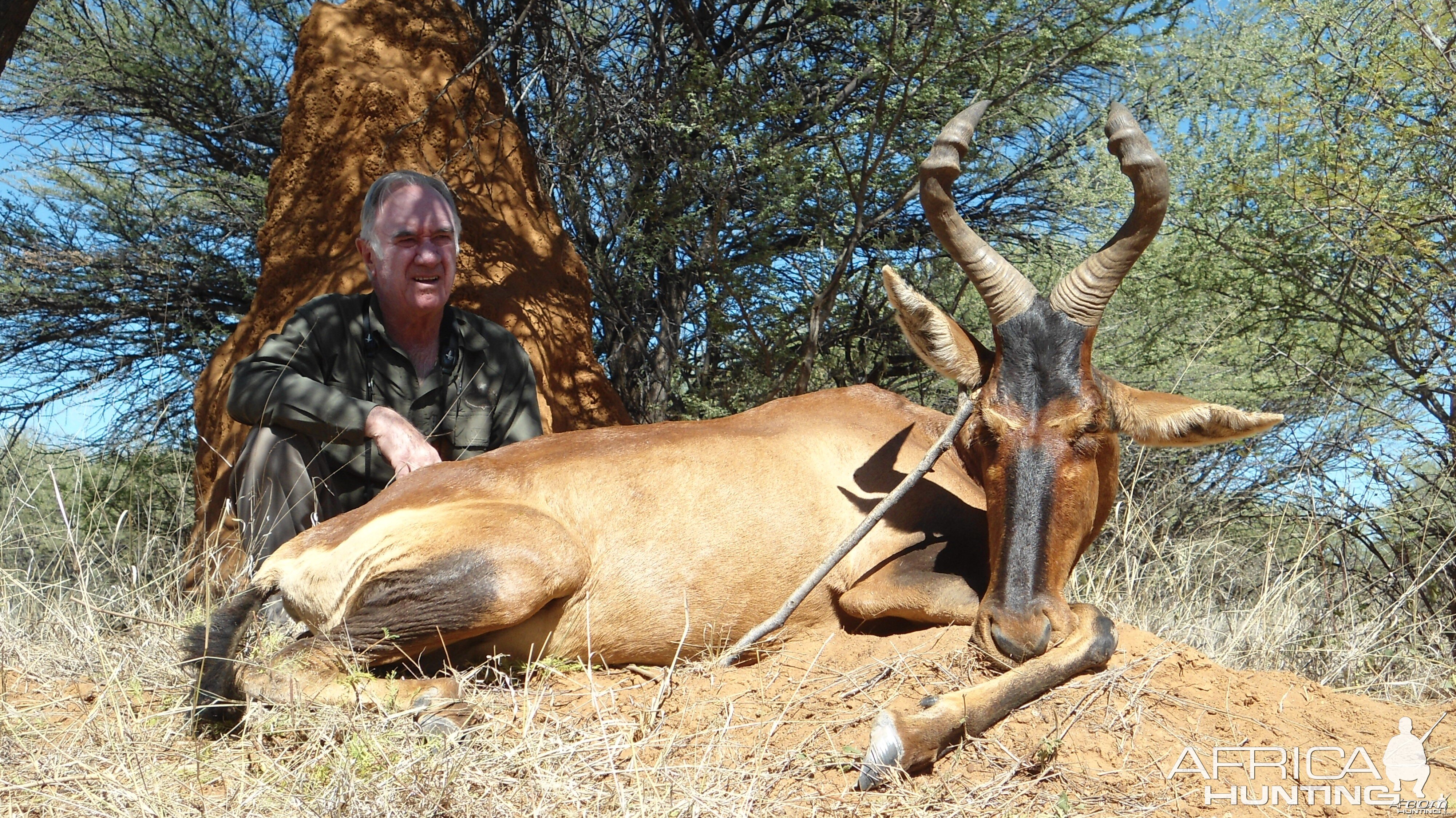 Red Hartebeest hunted with Ozondjahe Hunting Safaris in Namibia