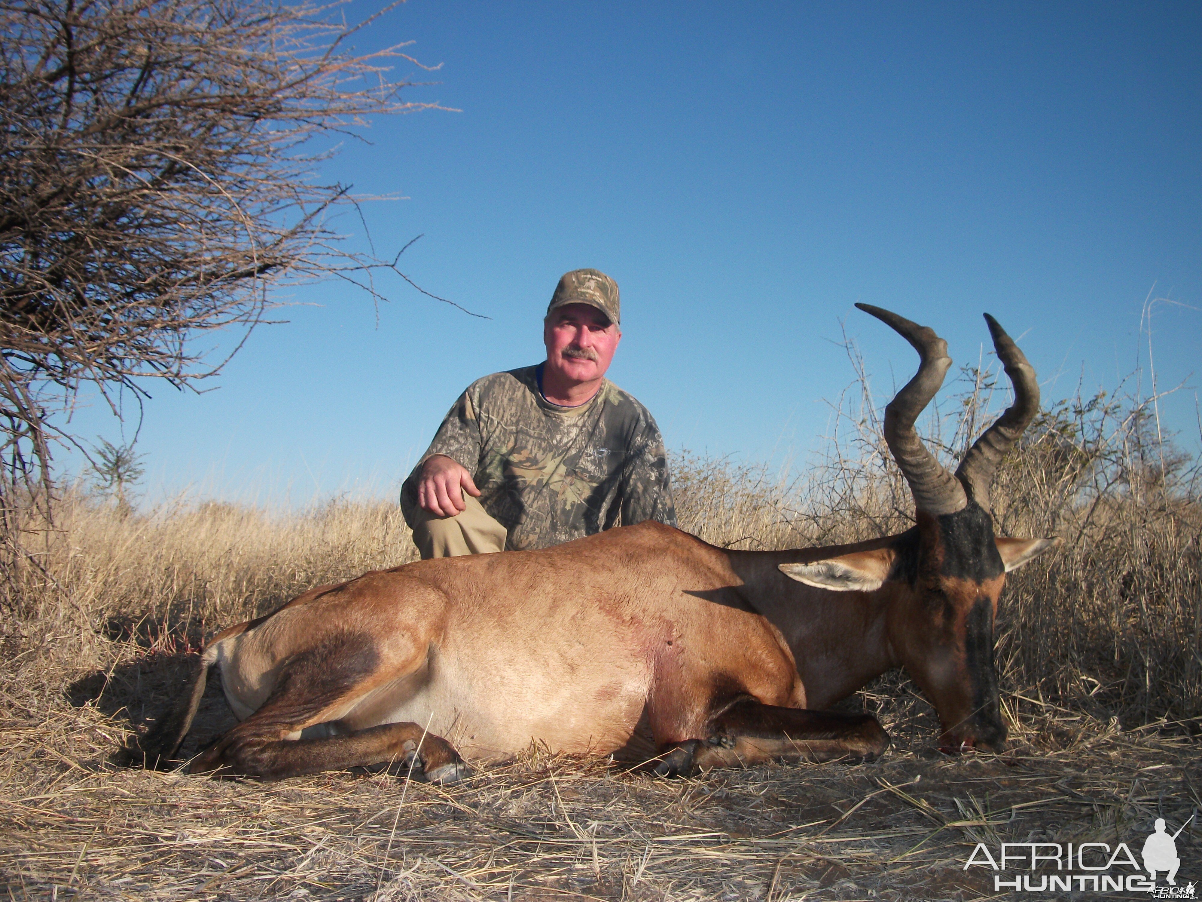 Red Hartebeest hunted with Ozondjahe Hunting Safaris in Namibia