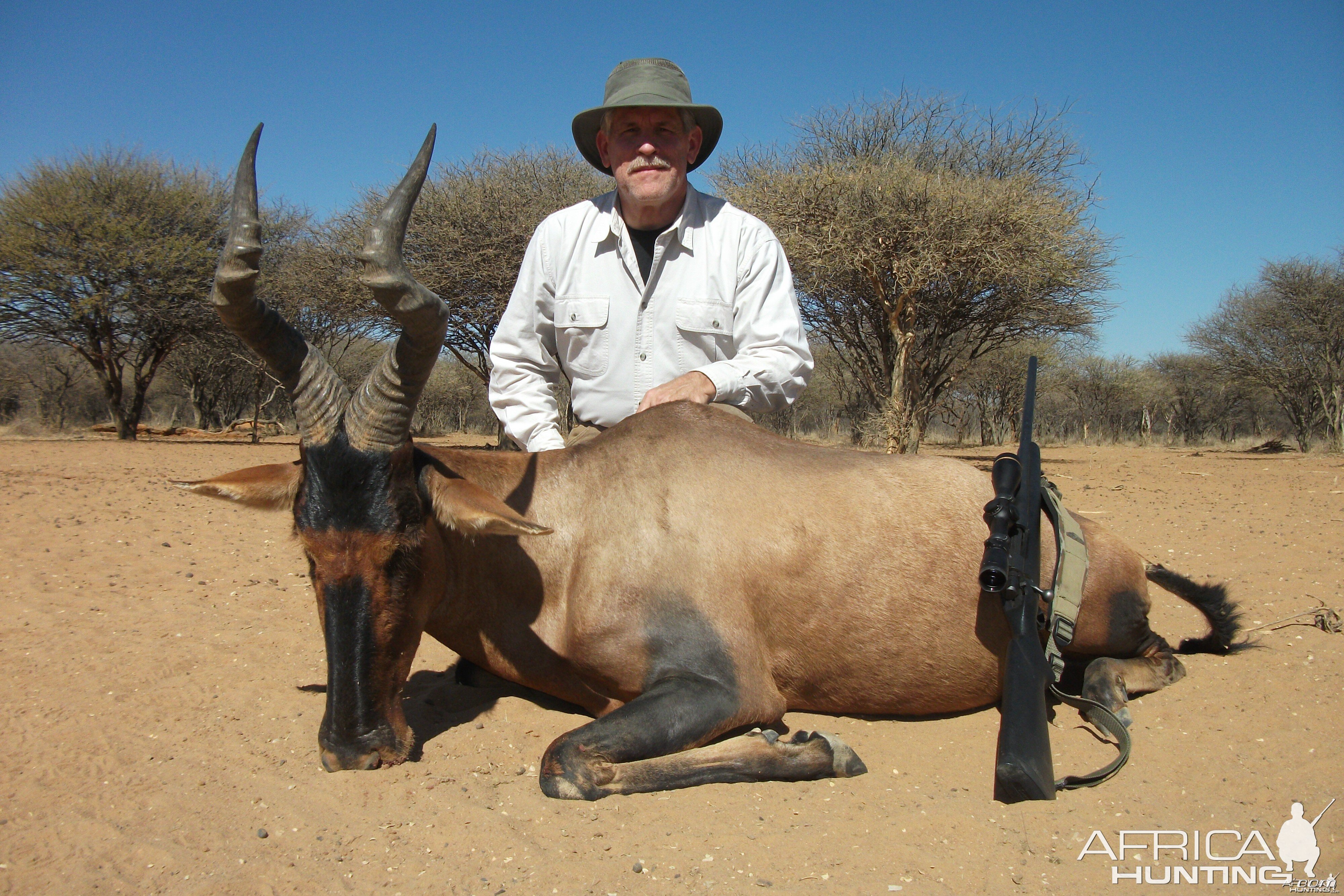 Red Hartebeest hunted with Ozondjahe Hunting Safaris in Namibia