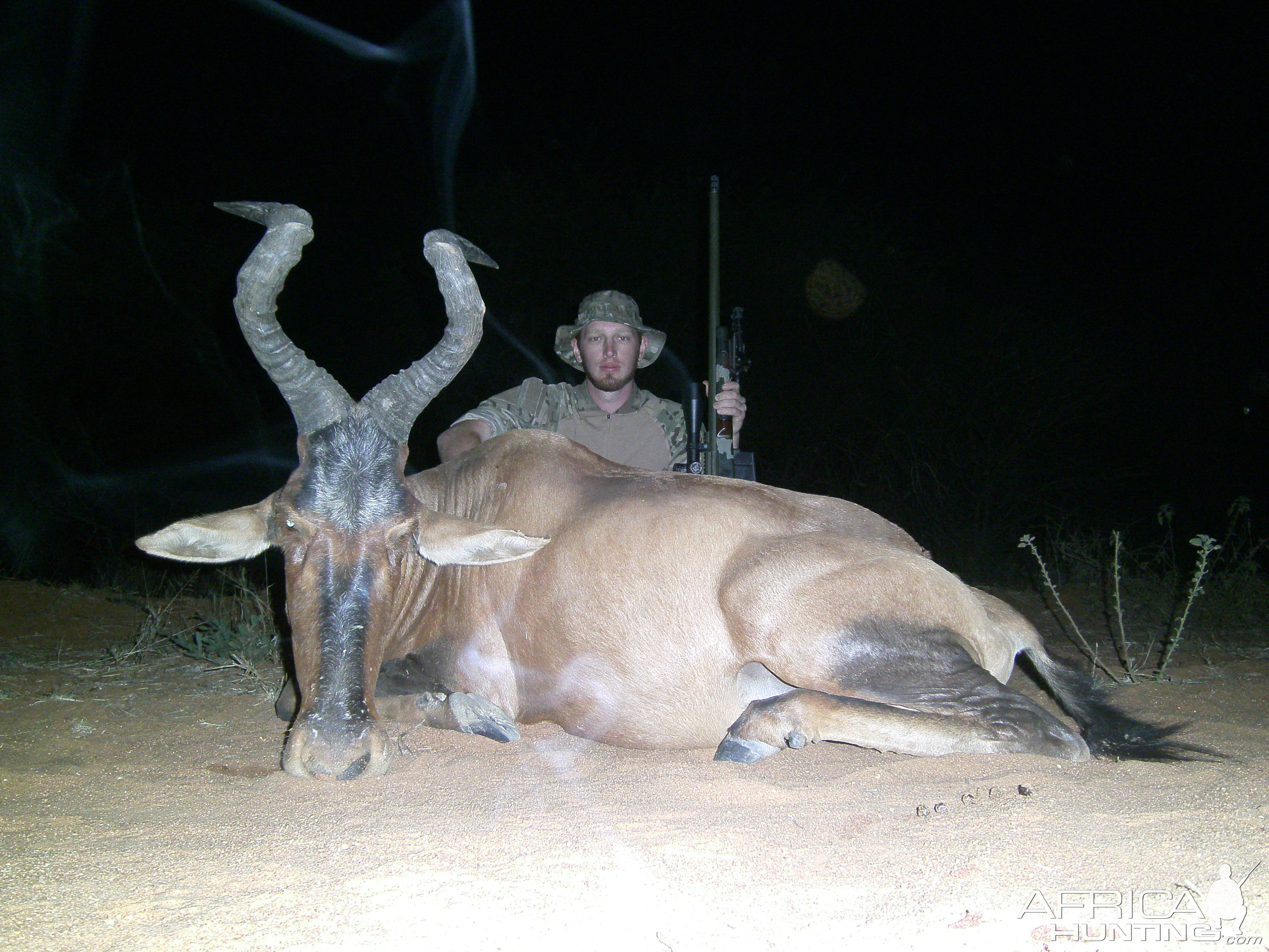 Red Hartebeest hunted with Ozondjahe Hunting Safaris in Namibia