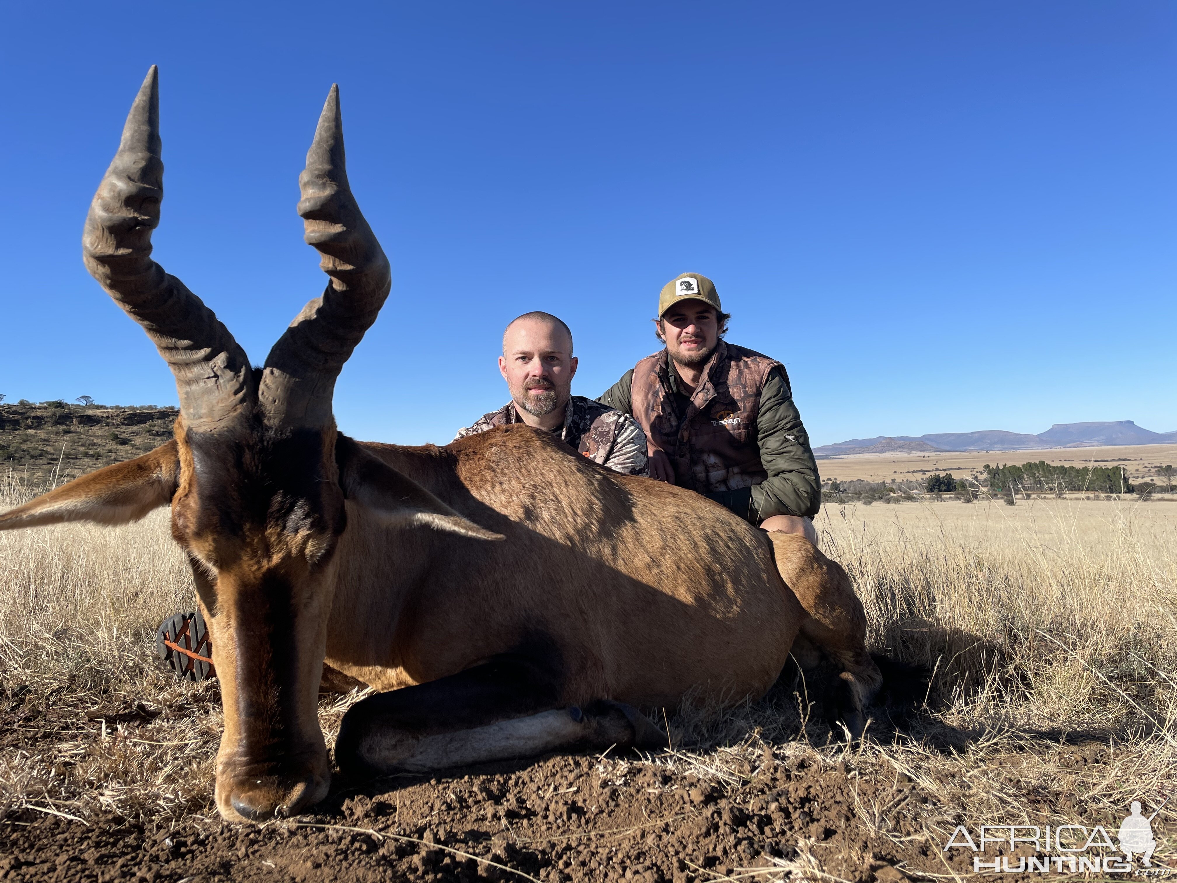 Red Hartebeest Hunting Eastern Cape South Africa