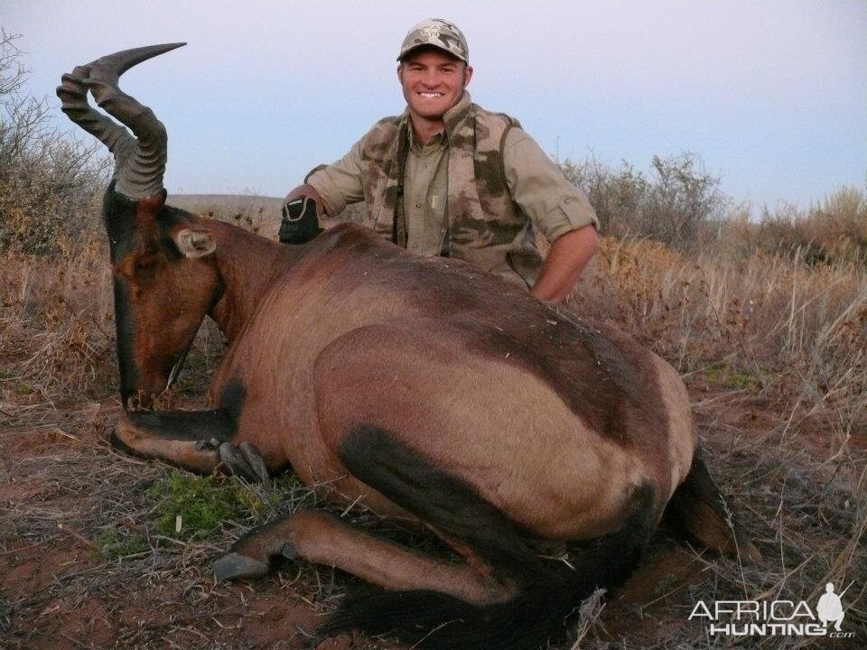 Red Hartebeest Hunting in Namibia