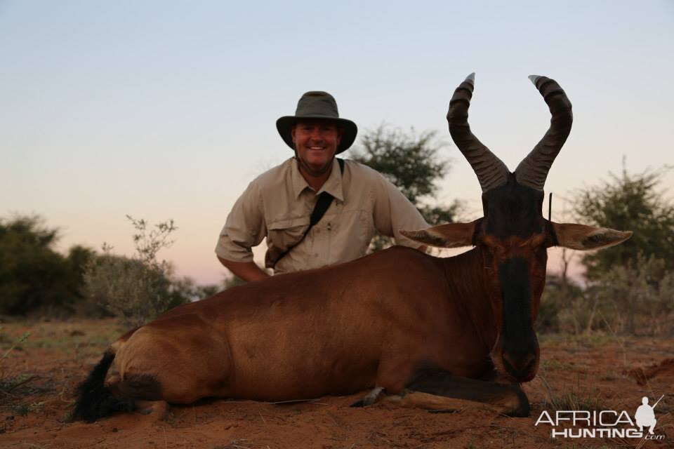 Red Hartebeest Hunting in Namibia