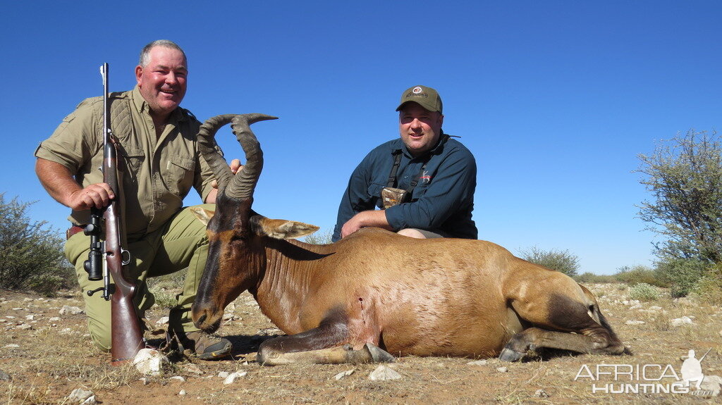 Red Hartebeest Hunting in Namibia