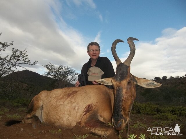 Red Hartebeest Hunting in South Africa