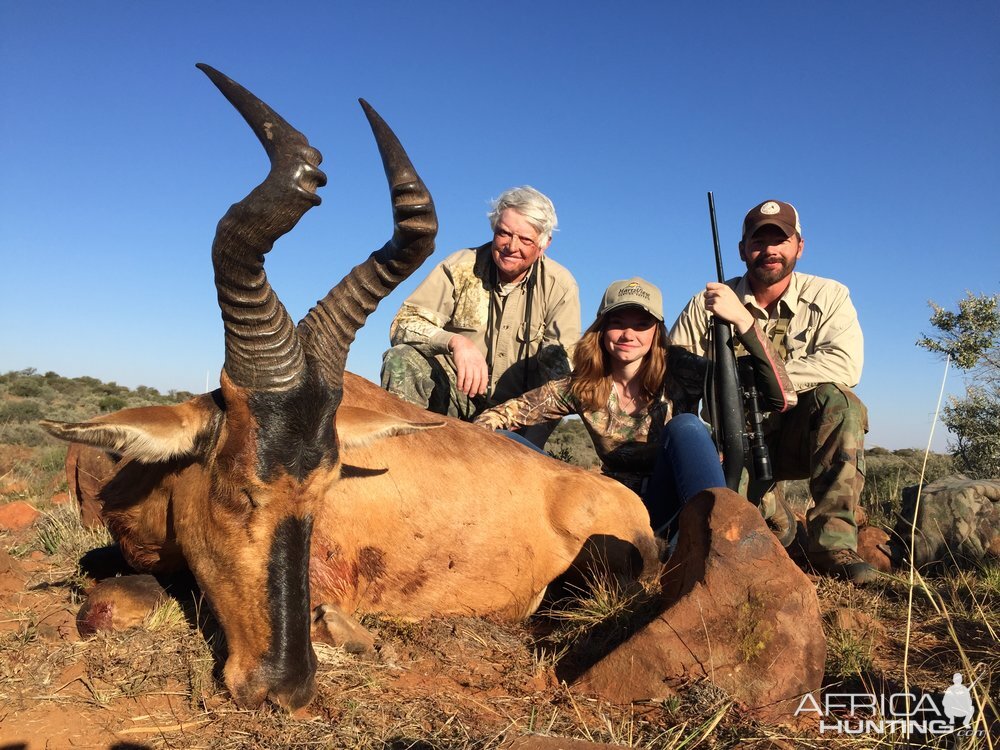 Red Hartebeest Hunting in South Africa