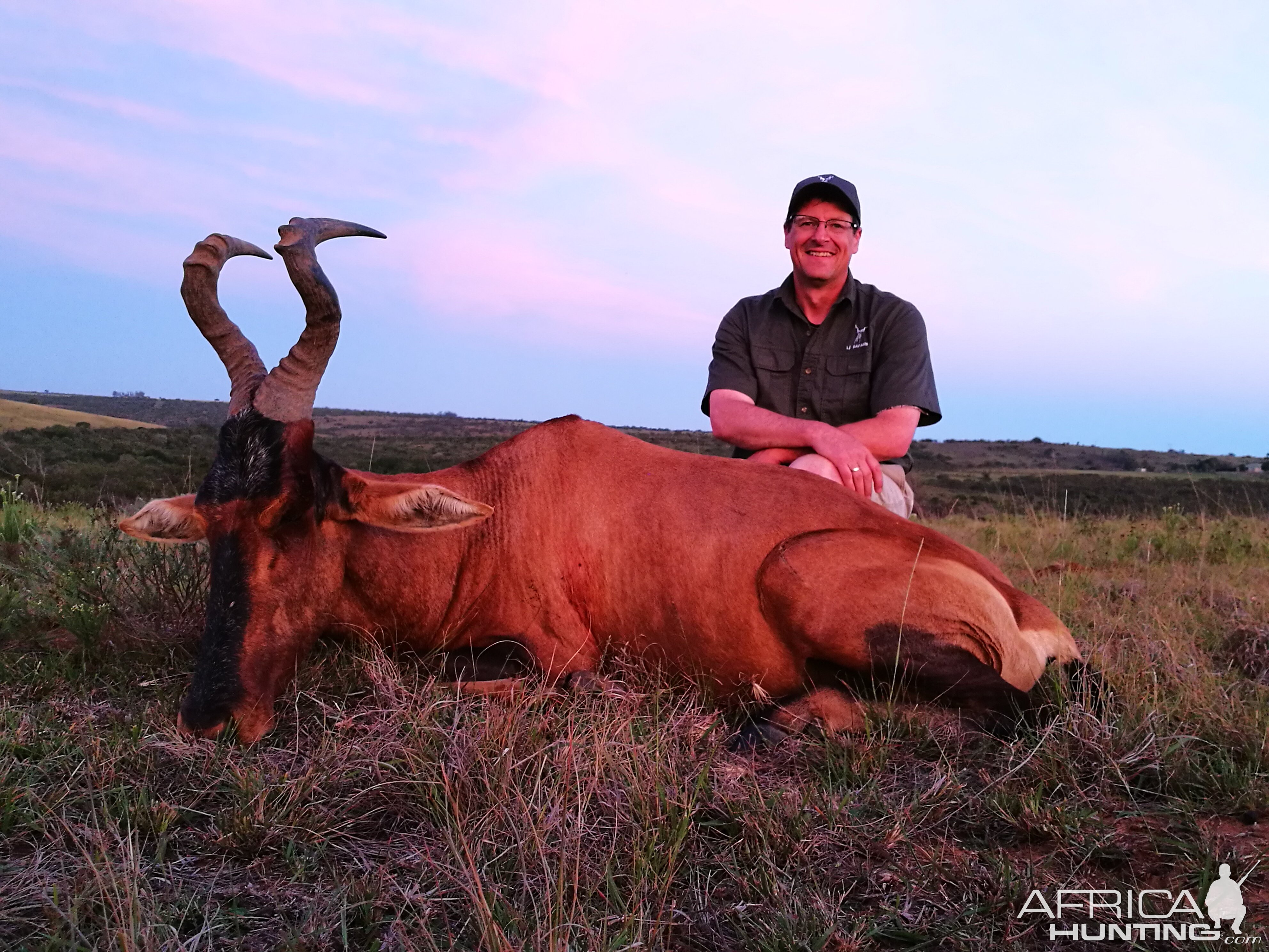 Red Hartebeest Hunting in South Africa