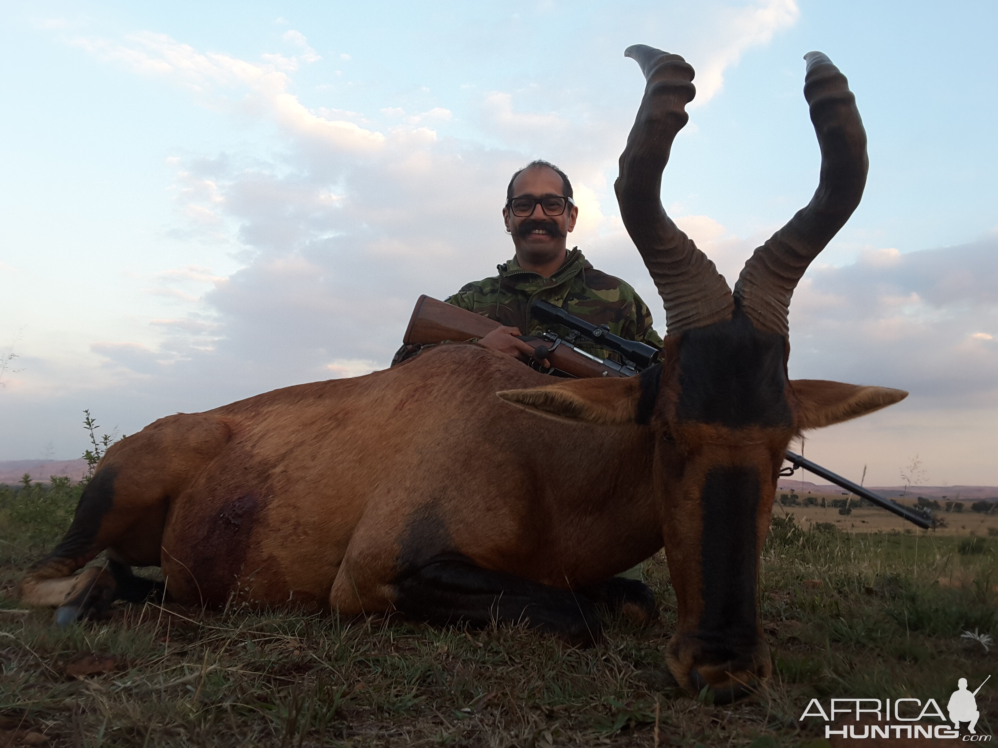 Red Hartebeest Hunting in South Africa