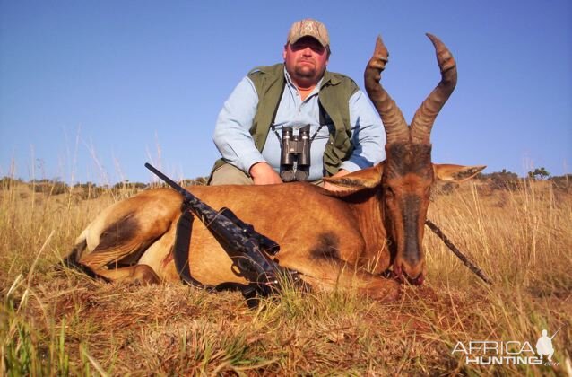 Red Hartebeest Hunting in South Africa