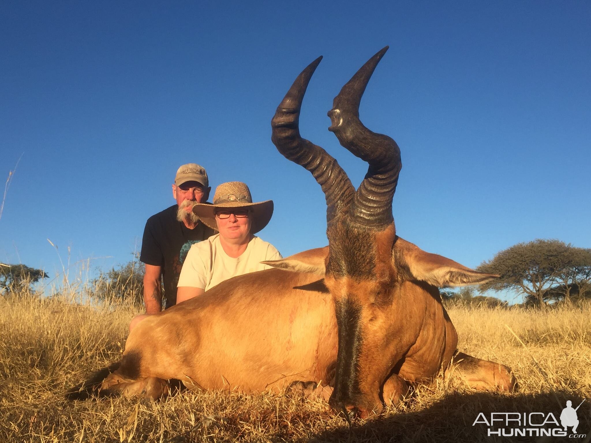 Red Hartebeest Hunting in South Africa