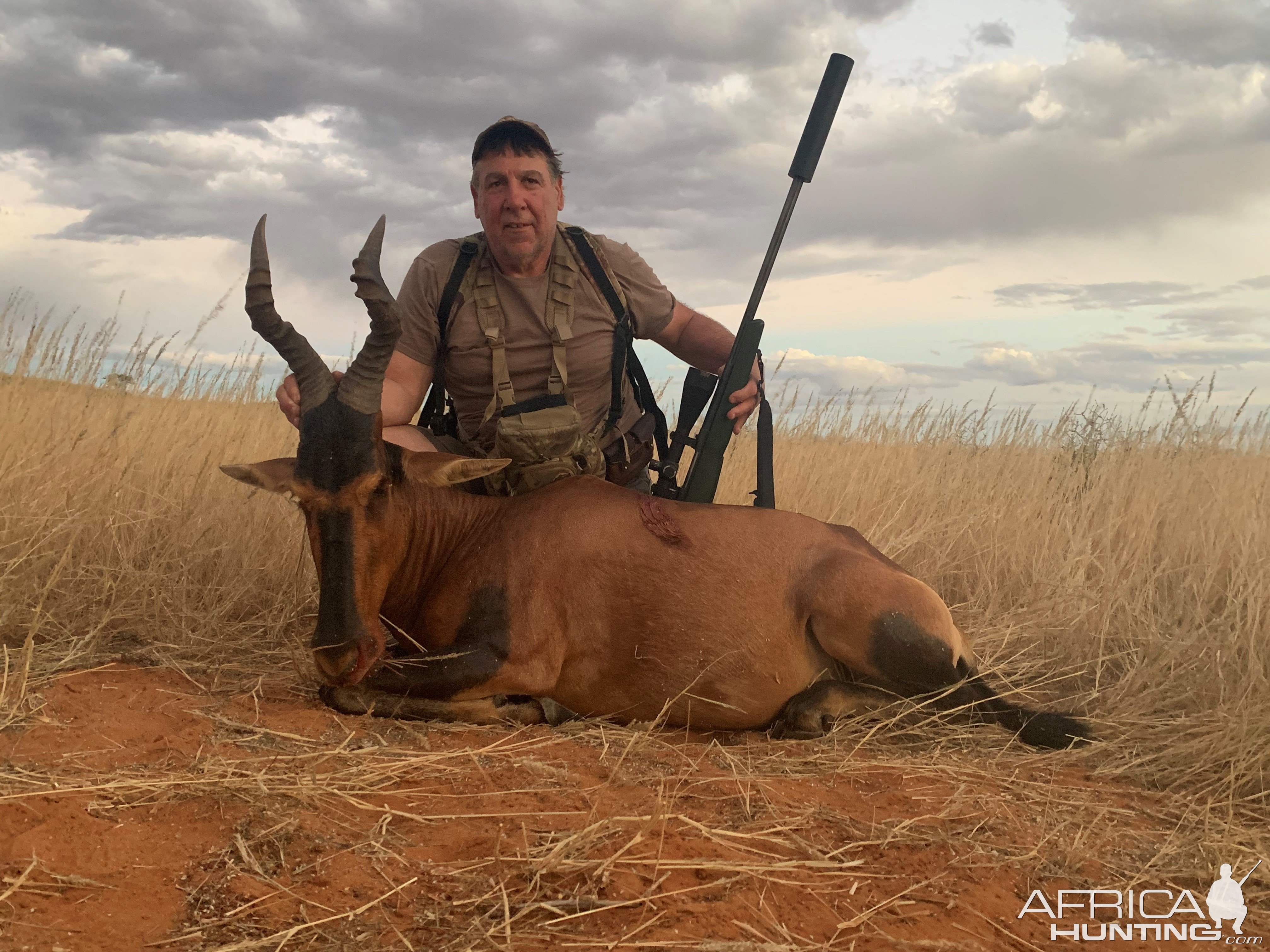 Red Hartebeest Hunting Namibia