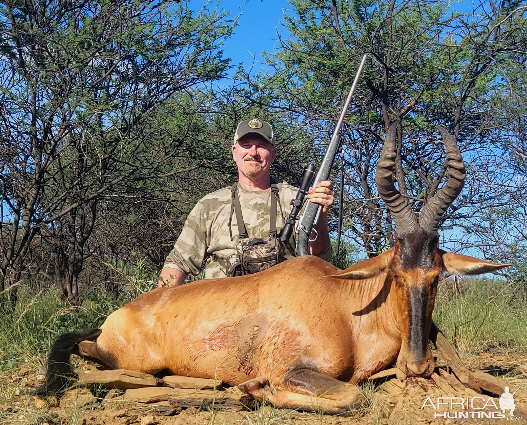 Red Hartebeest Hunting Namibia