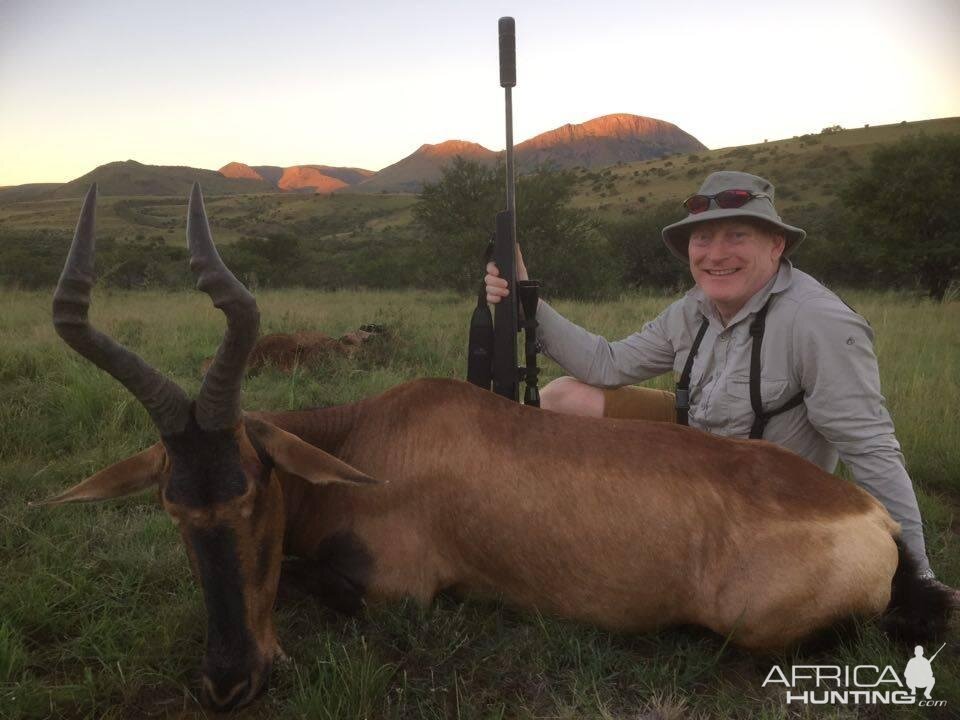 Red Hartebeest Hunting South Africa